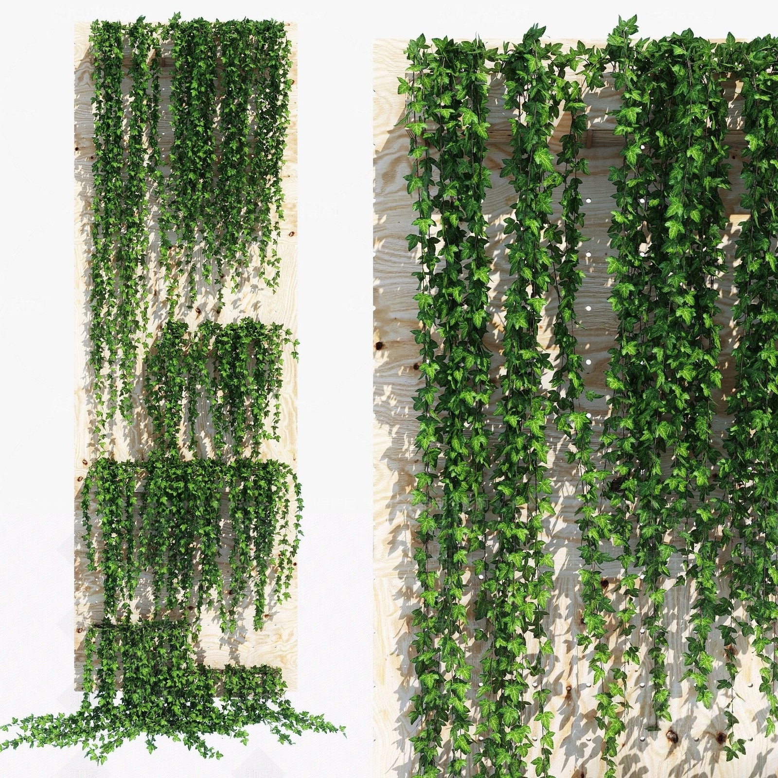 现代植物藤蔓3D模型下载【ID:1185345149】