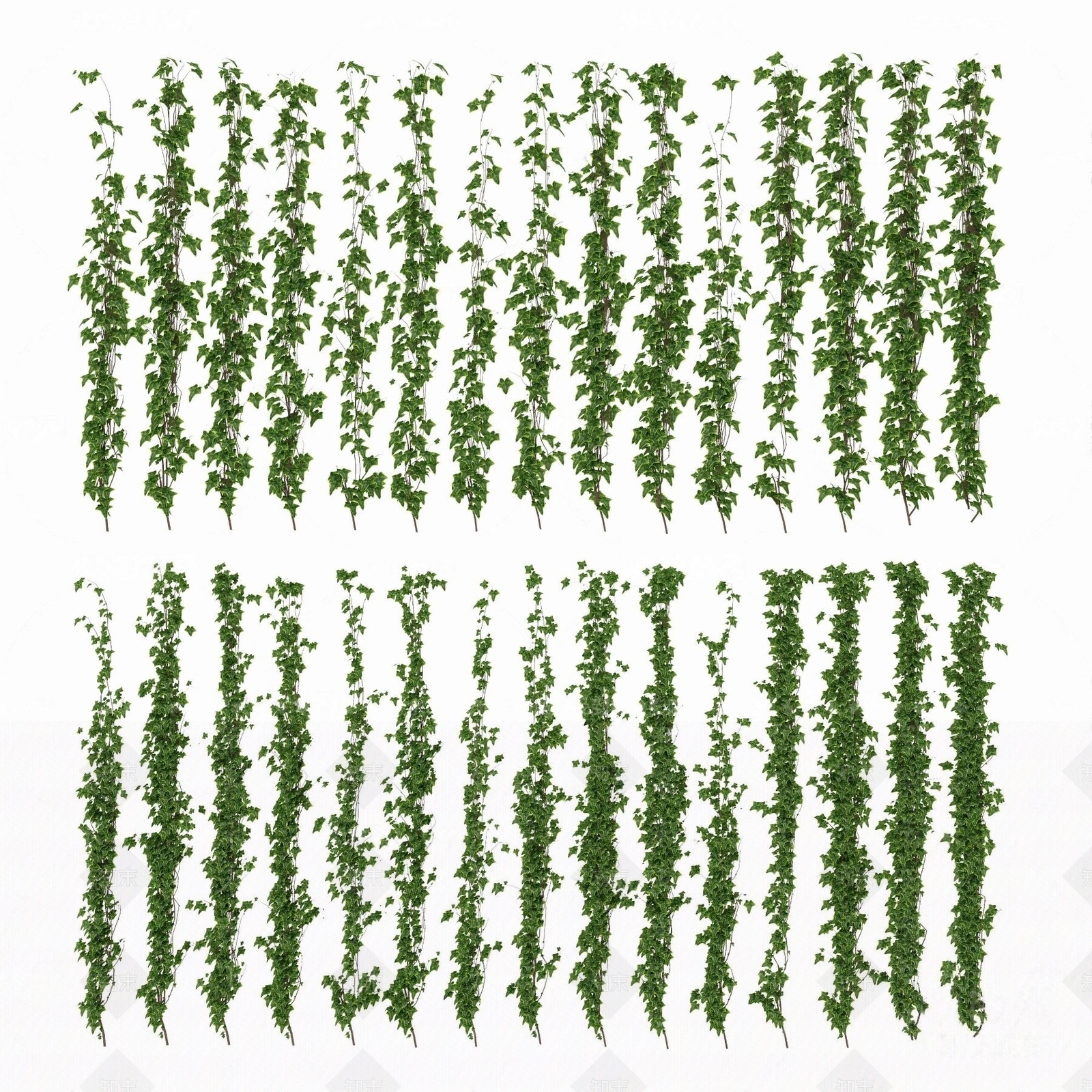 现代植物藤蔓3D模型下载【ID:1185345373】