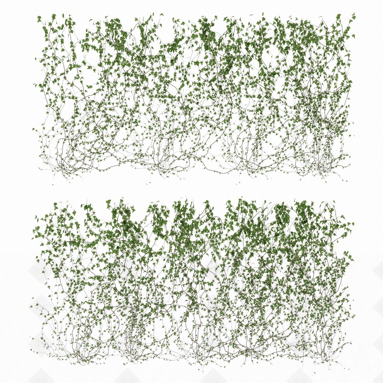 现代植物藤蔓3D模型下载【ID:1185345336】