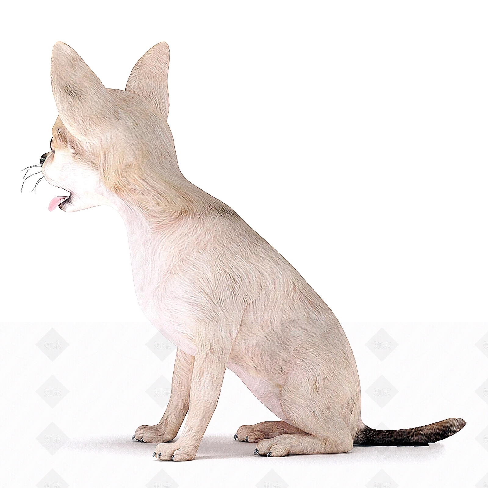 其他动物3D模型下载【ID:1185357475】