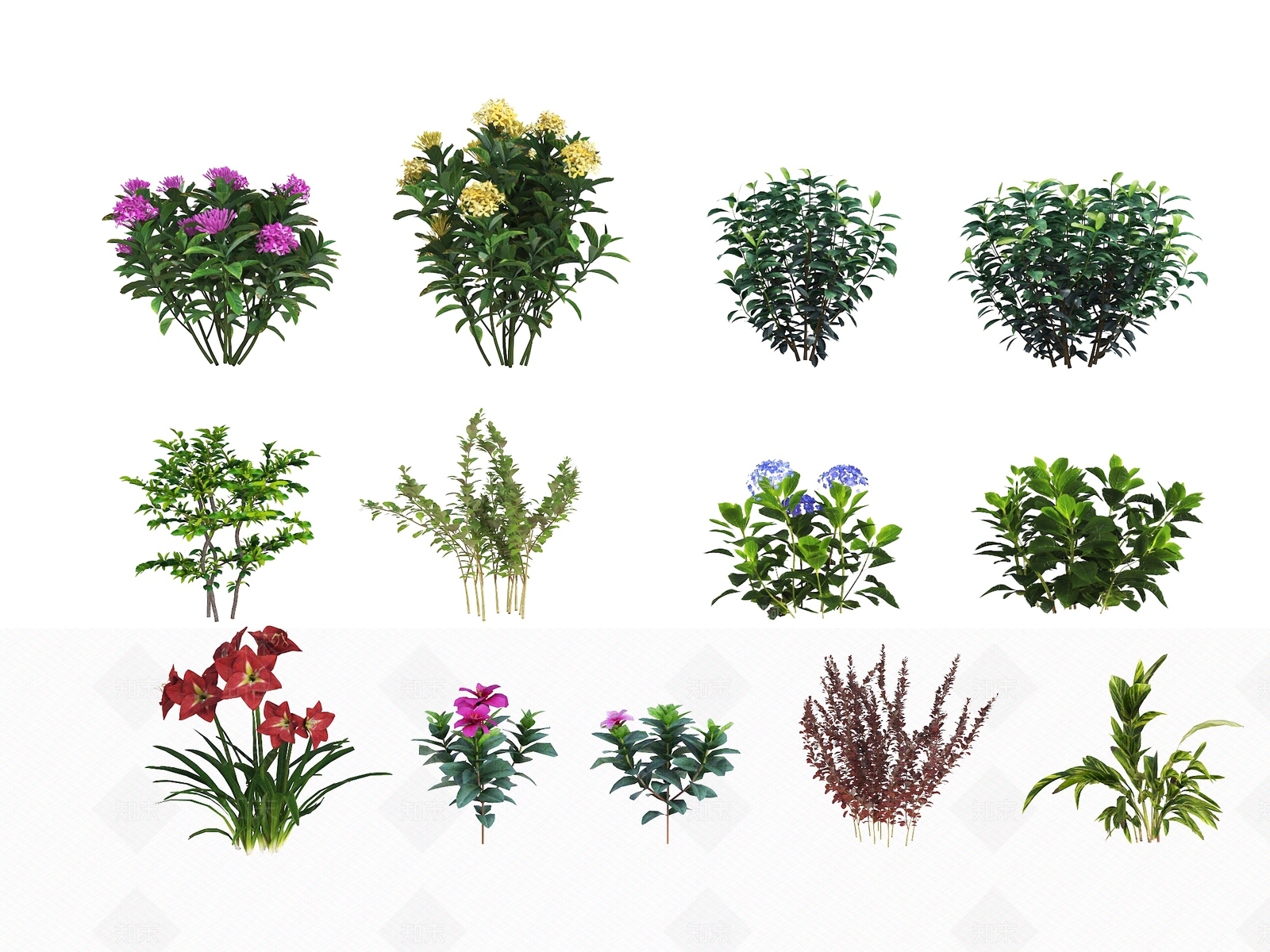 花草SU模型下载【ID:1185384989】