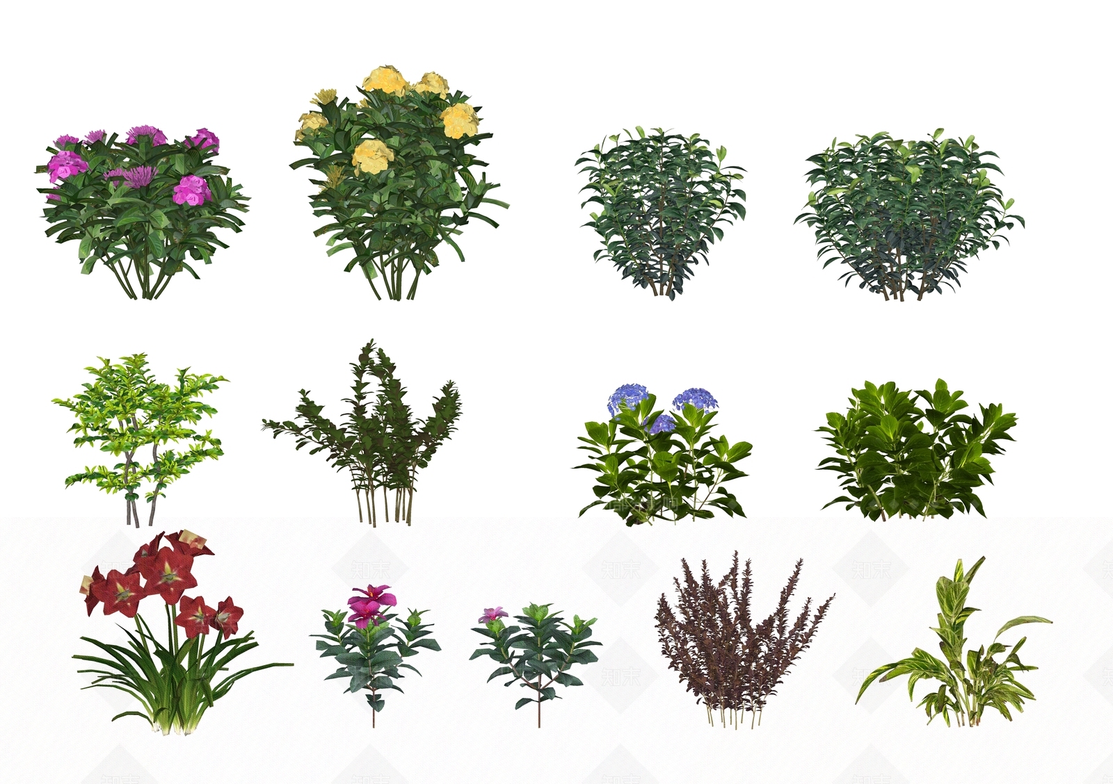 花草SU模型下载【ID:1185384989】