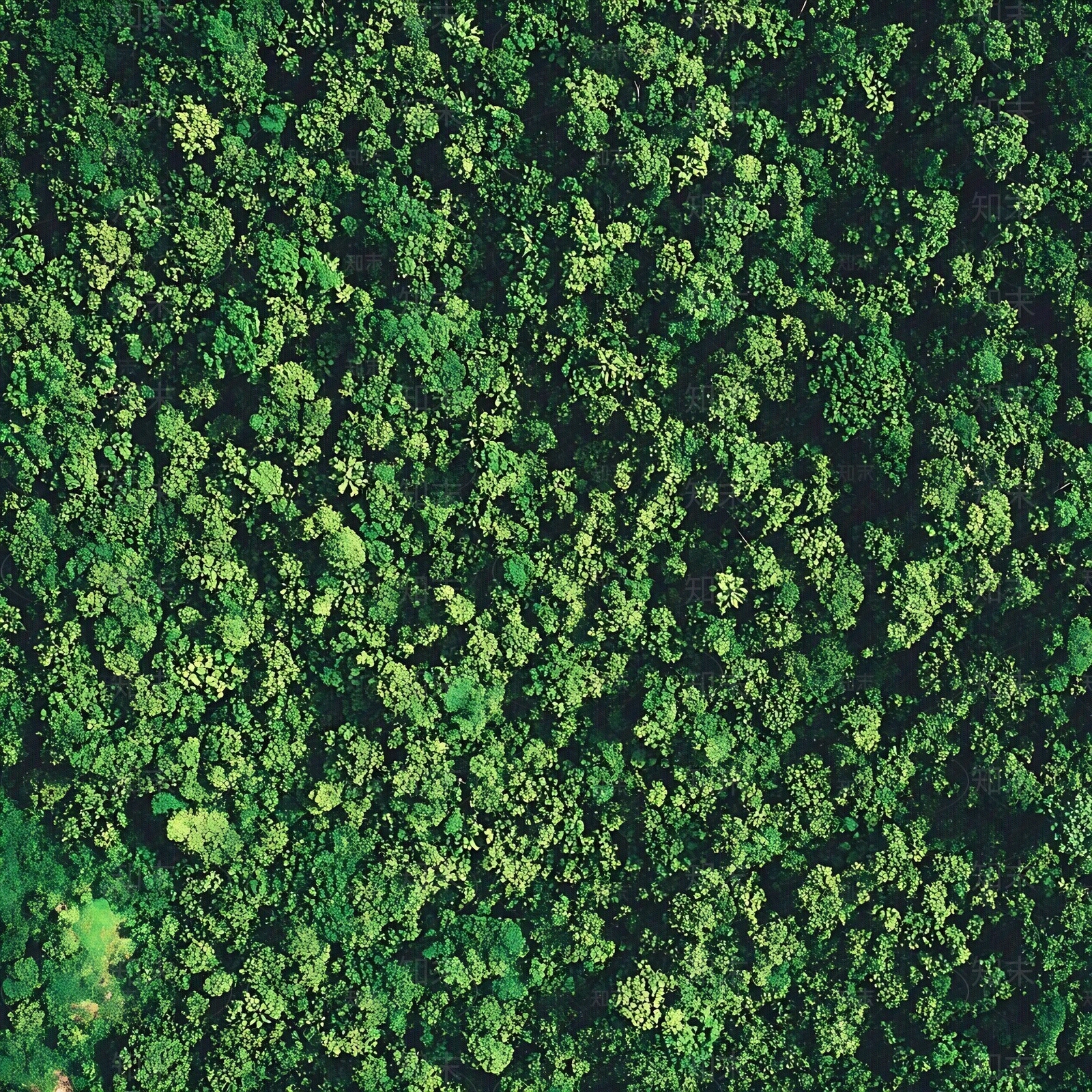 现代其它外景贴图下载【ID:1185432664】