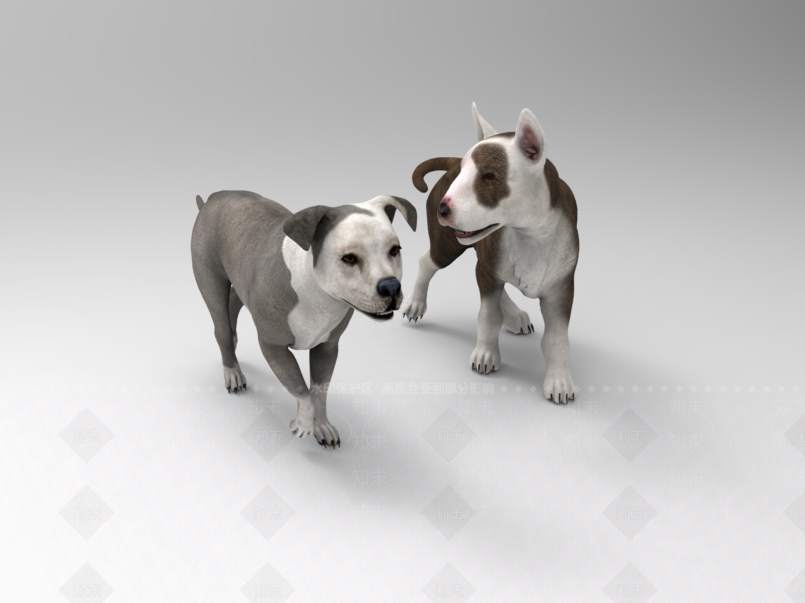 爬行类动物3D模型下载【ID:1185442811】