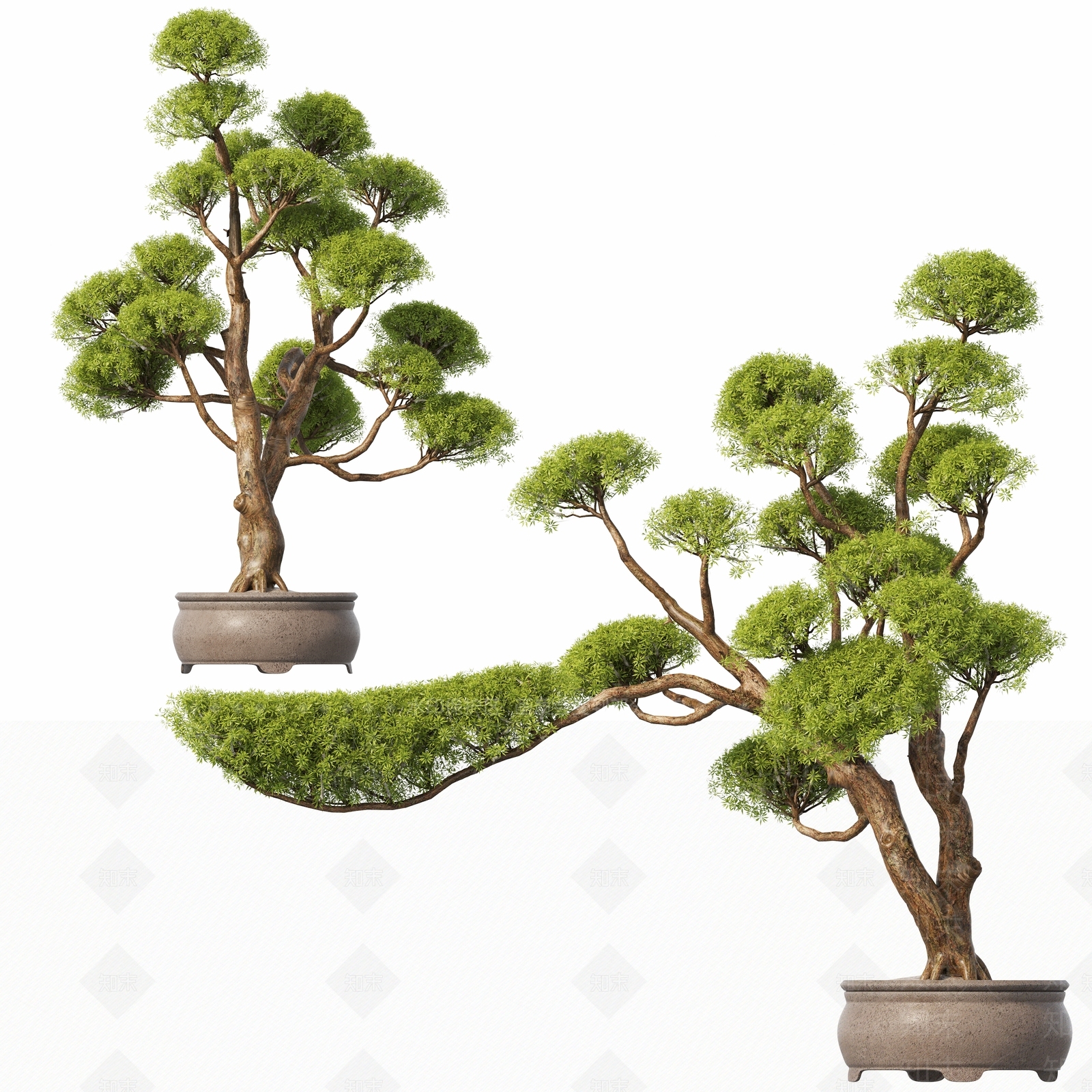 盆栽3D模型下载【ID:1185462306】