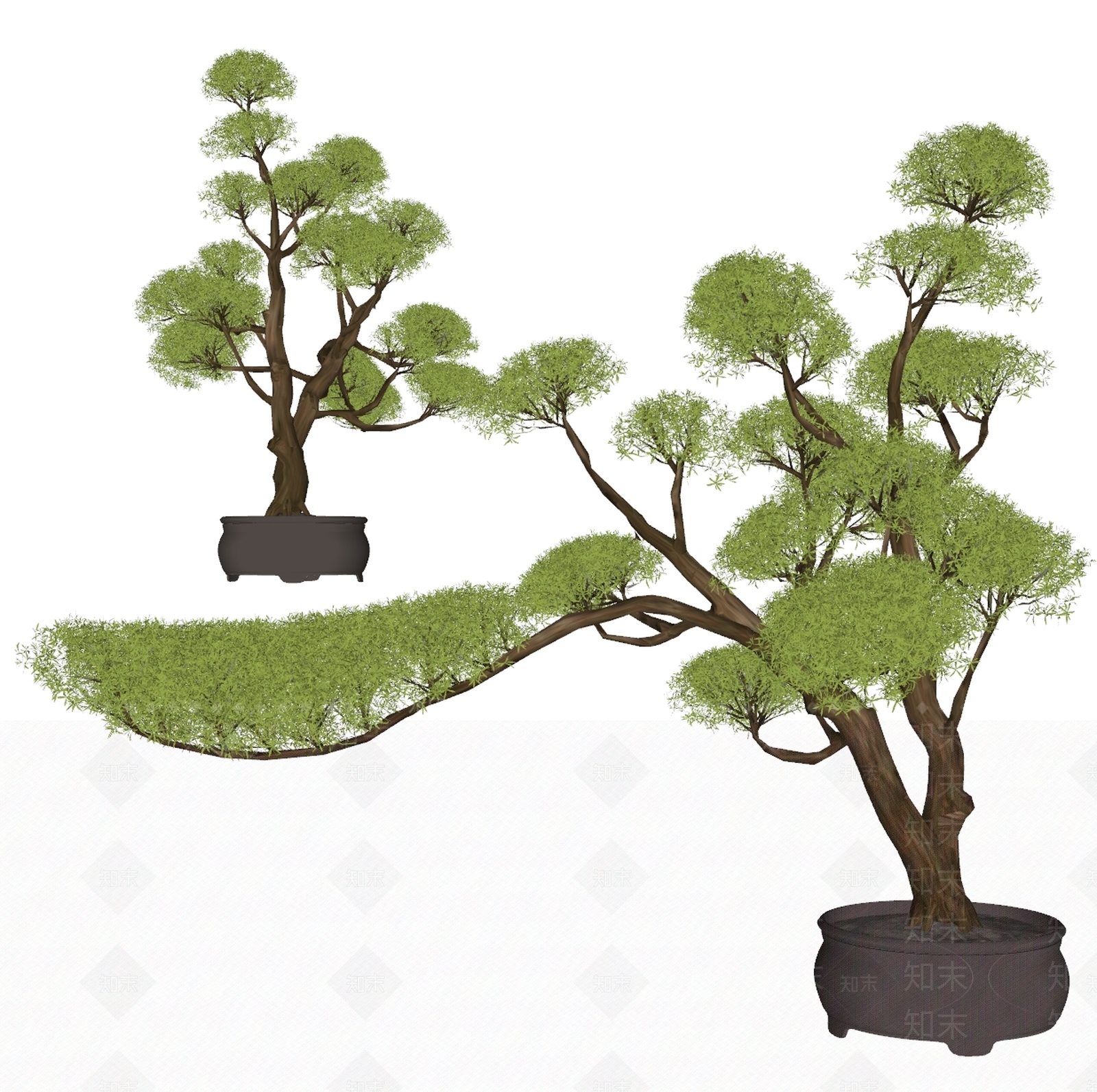 盆栽SU模型下载【ID:1185462607】