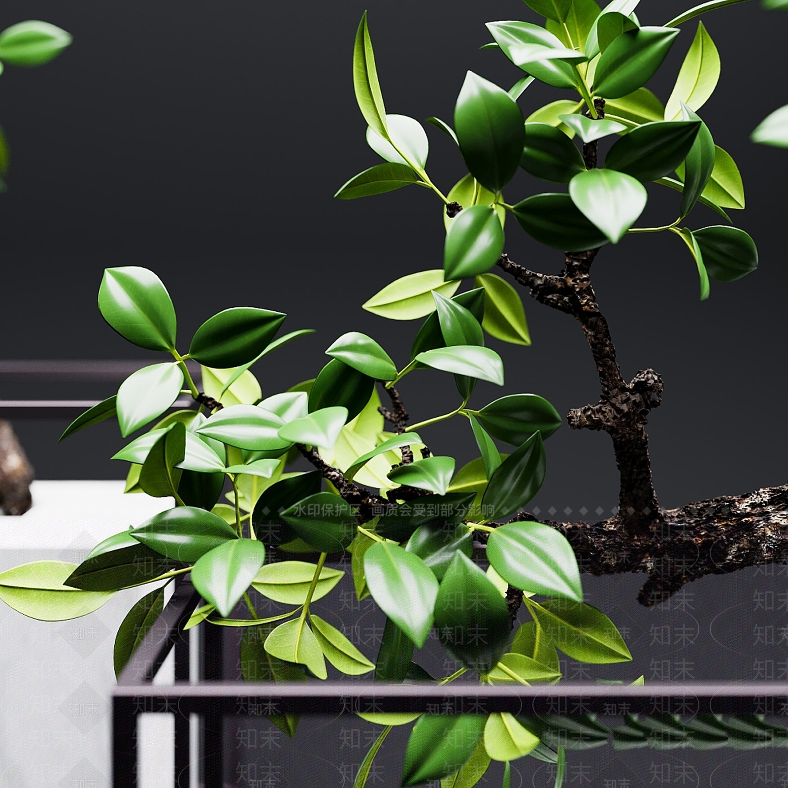 盆栽3D模型下载【ID:1185471065】