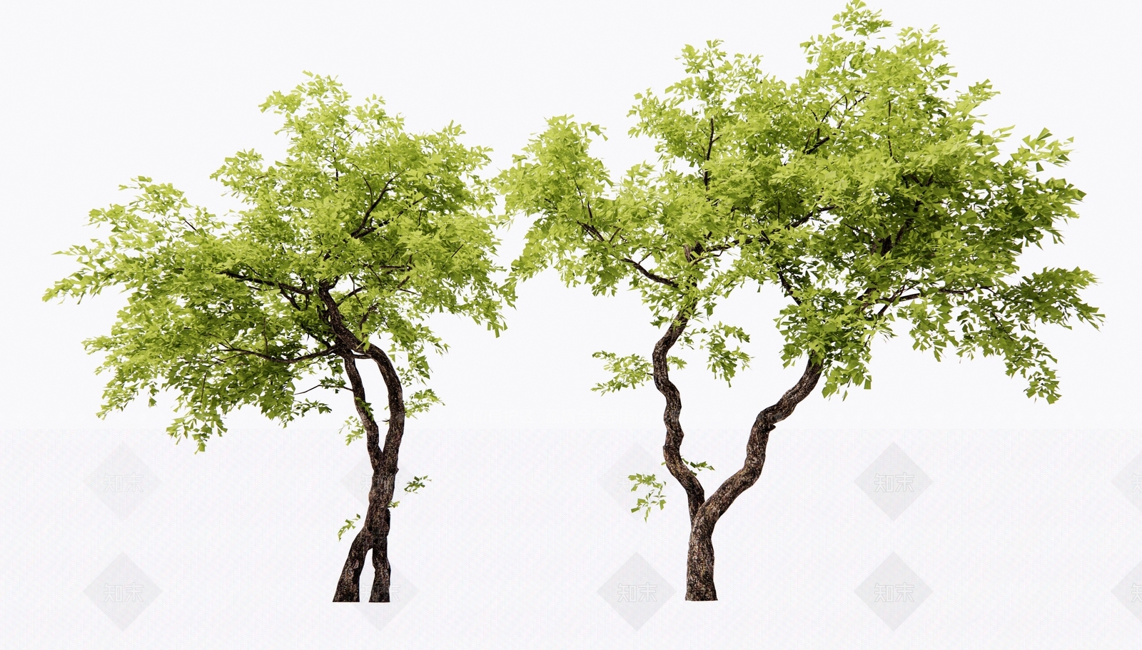 景观树3D模型下载【ID:1185539202】