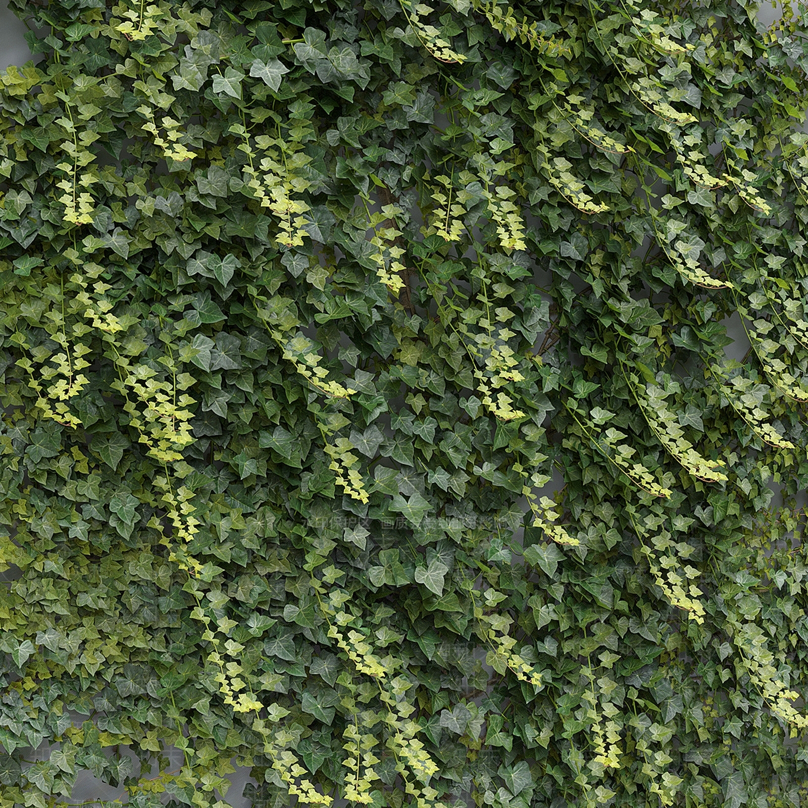 绿植墙3D模型下载【ID:1185542777】