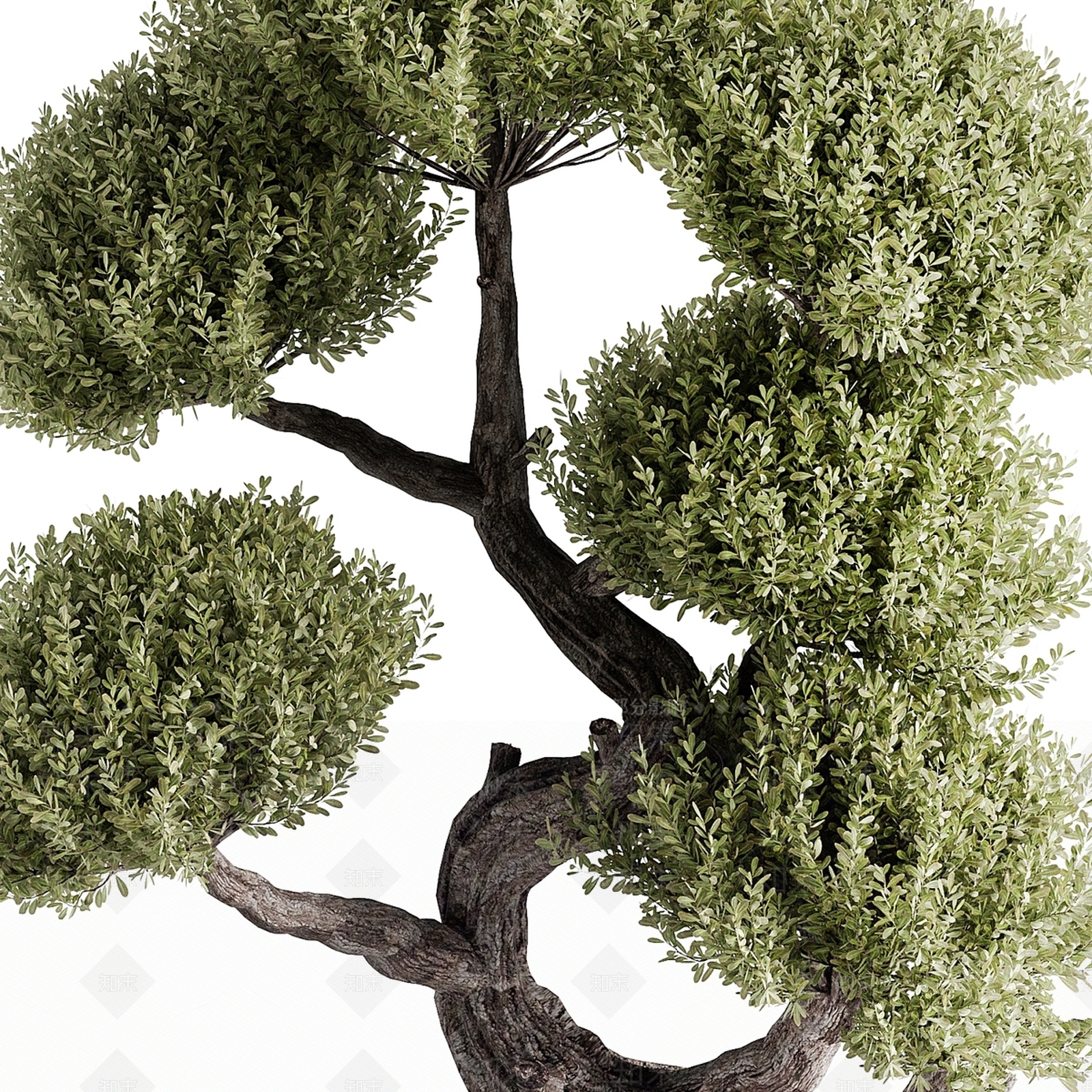 盆栽3D模型下载【ID:1185562630】