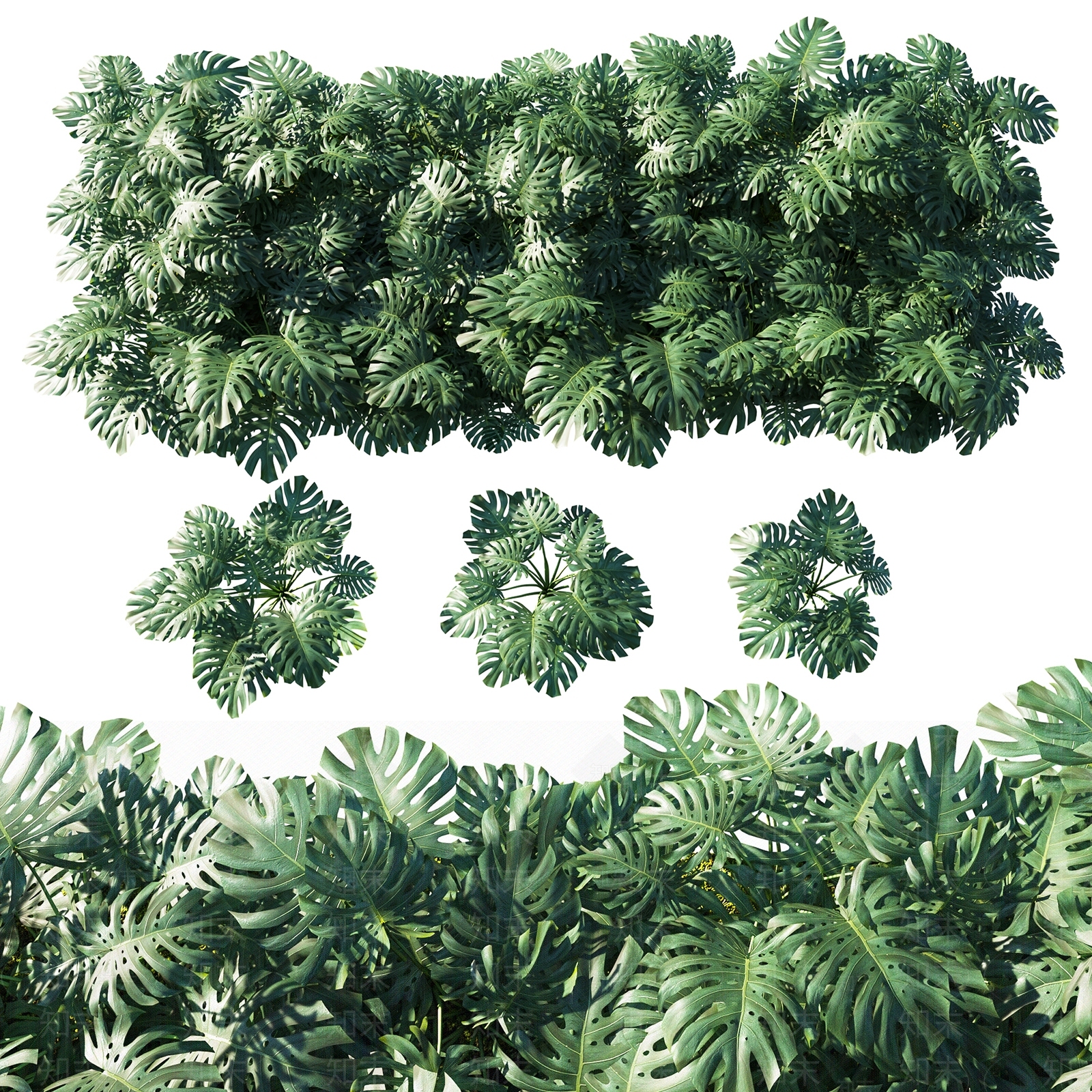 绿植墙3D模型下载【ID:1185575872】