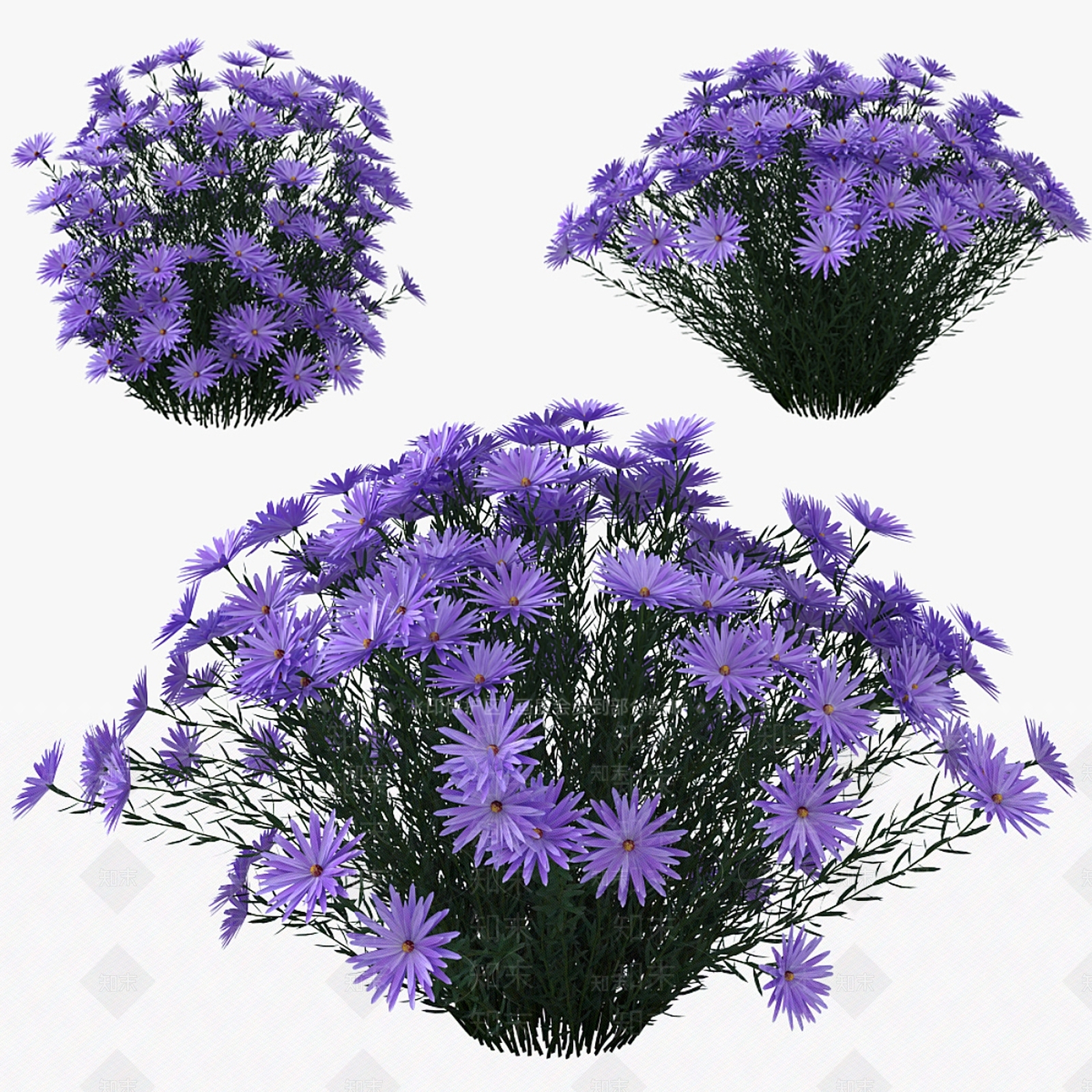 花3D模型下载【ID:1185596293】