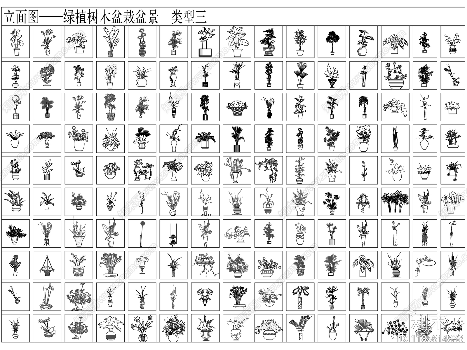 2025最新超全CAD绿植图库cad施工图下载【ID:1185614838】