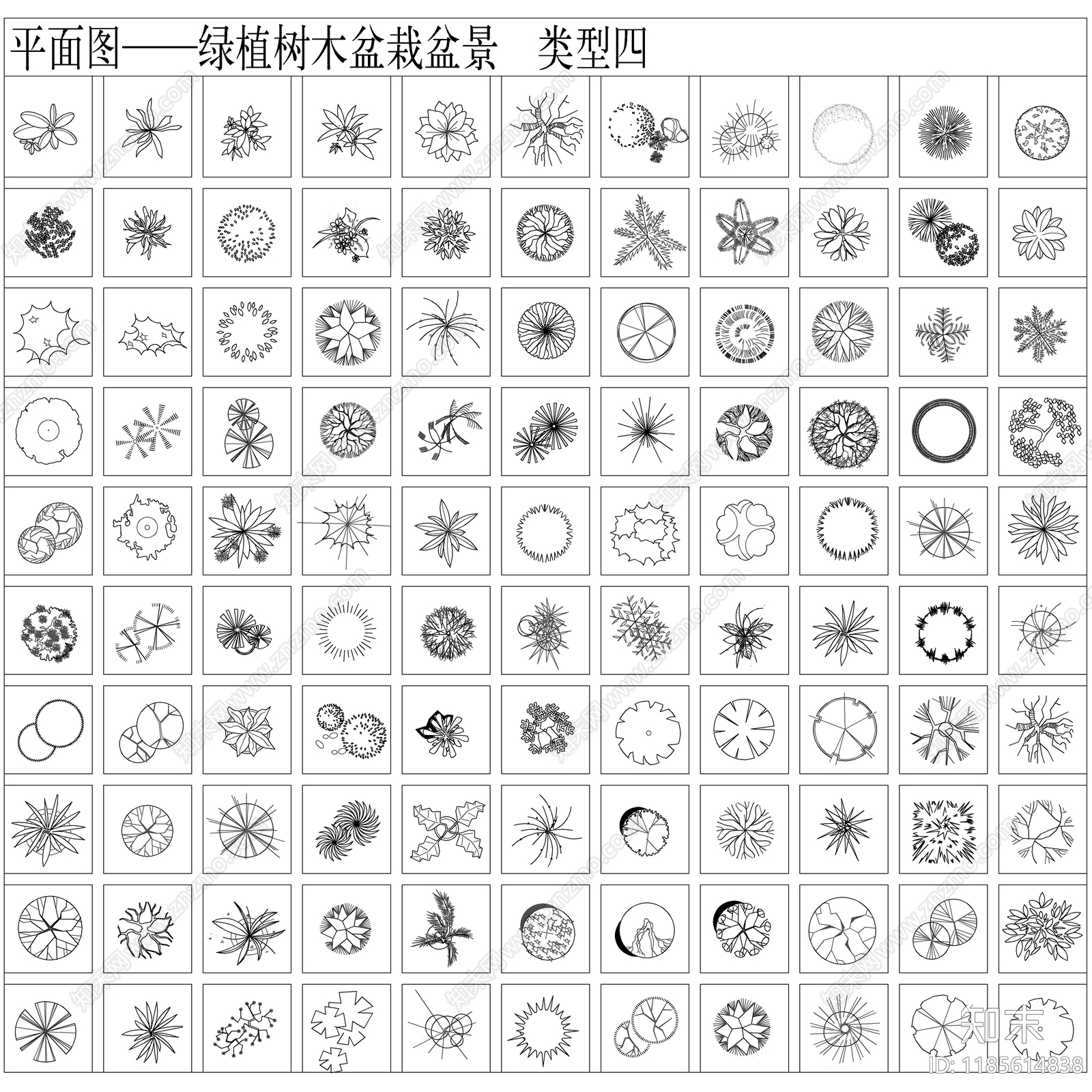 2025最新超全CAD绿植图库cad施工图下载【ID:1185614838】