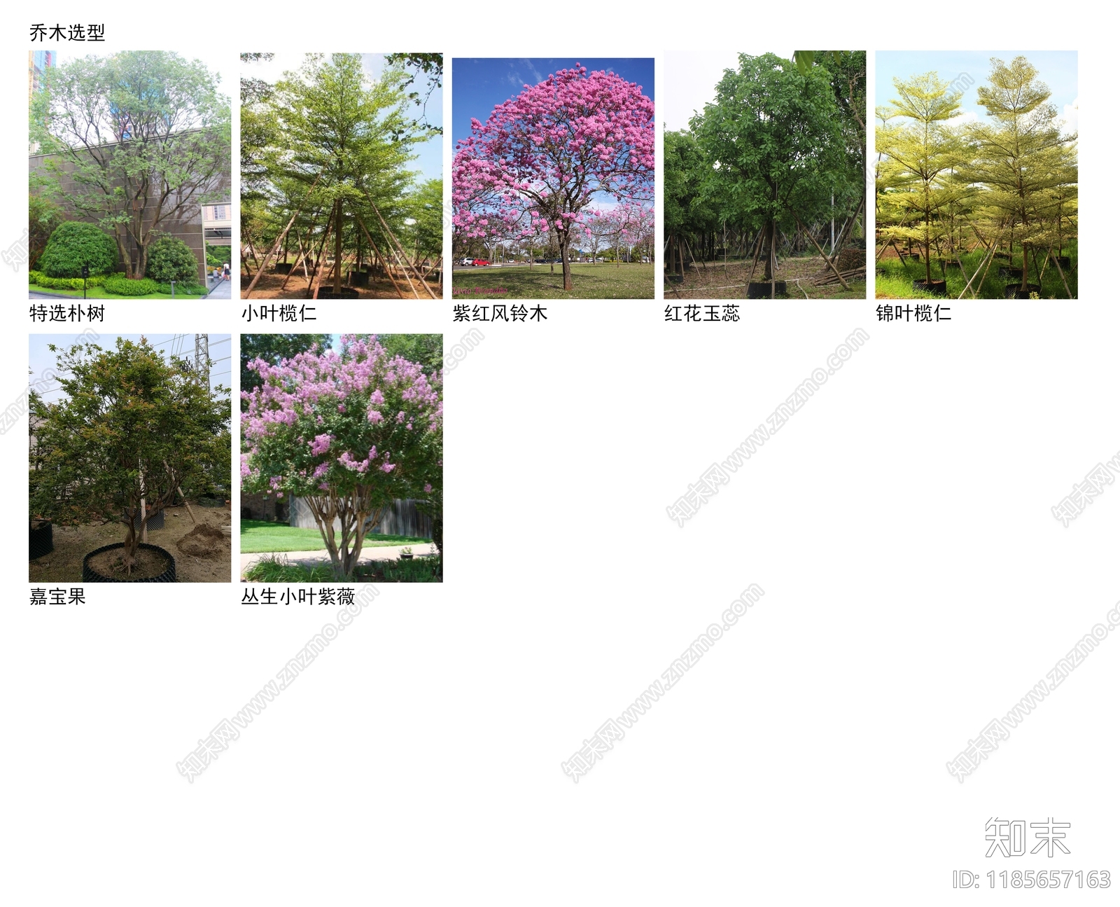 现代办公景观cad施工图下载【ID:1185657163】