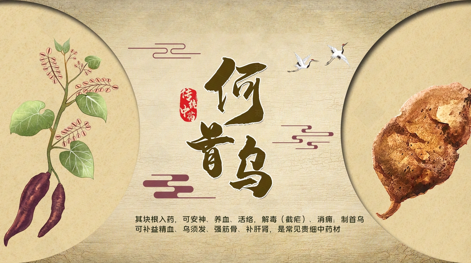 新中式中式纸书本贴图下载【ID:1185733563】