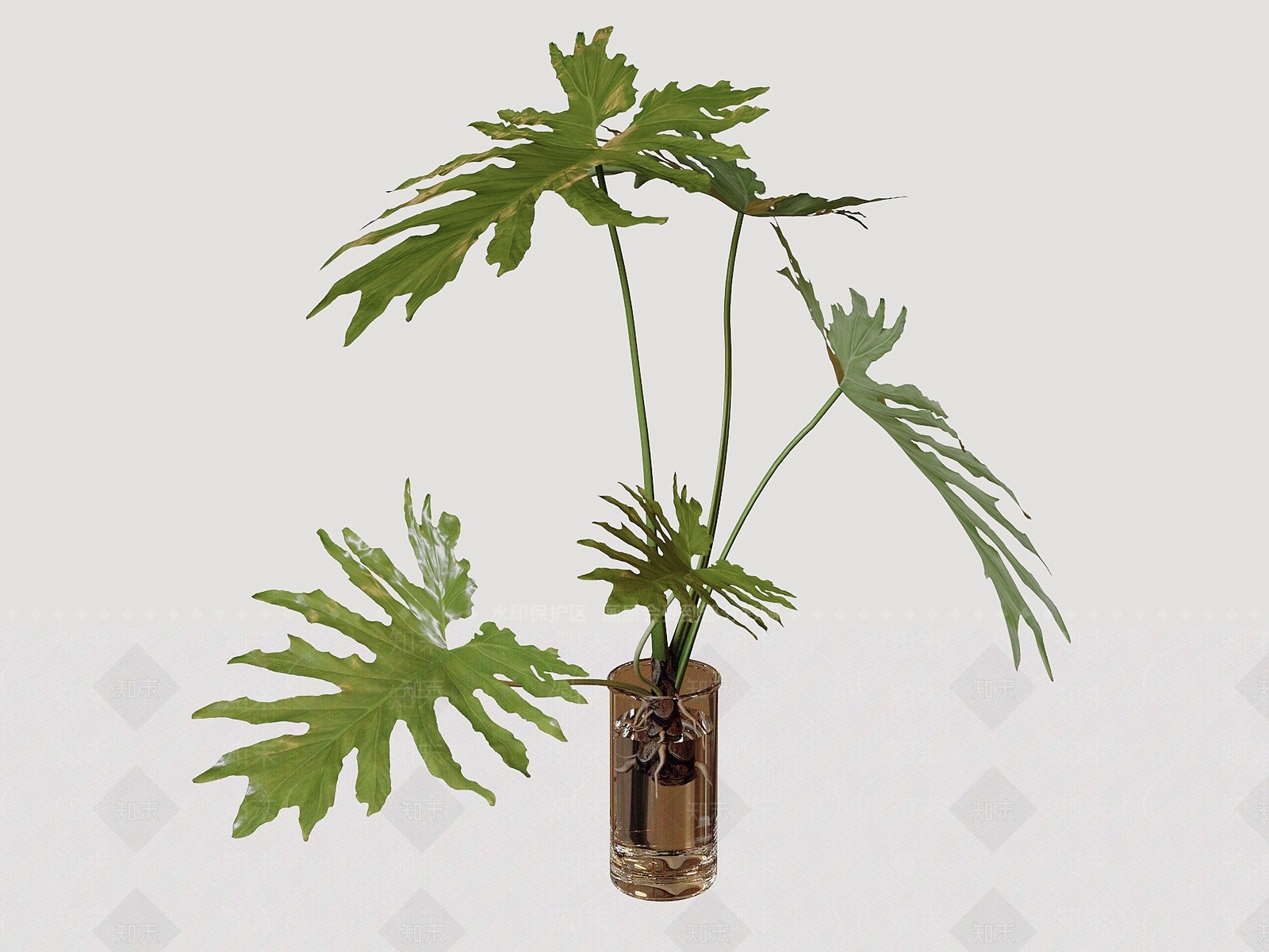 其他绿植3D模型下载【ID:1185759077】
