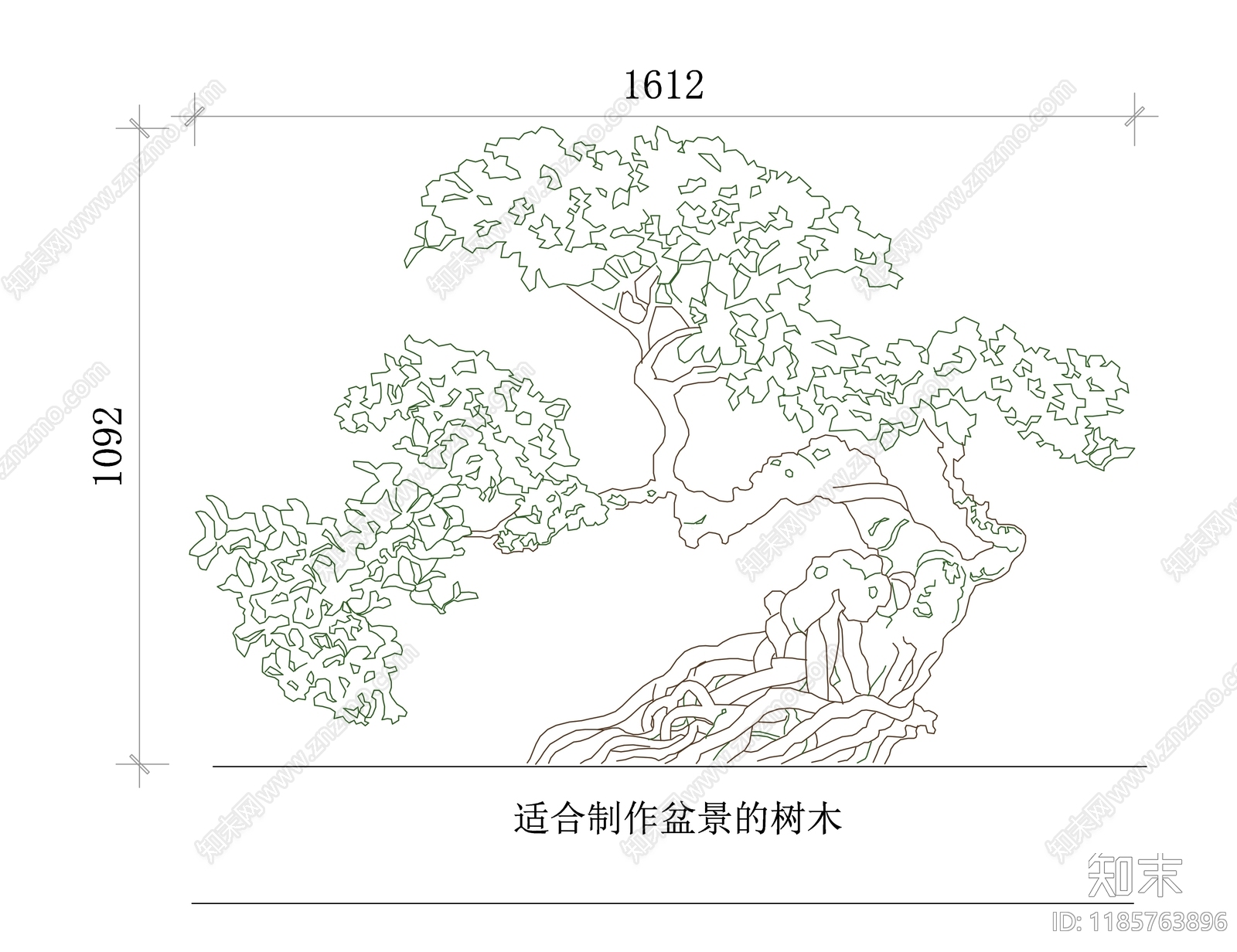 现代综合植物图库施工图下载【ID:1185763896】