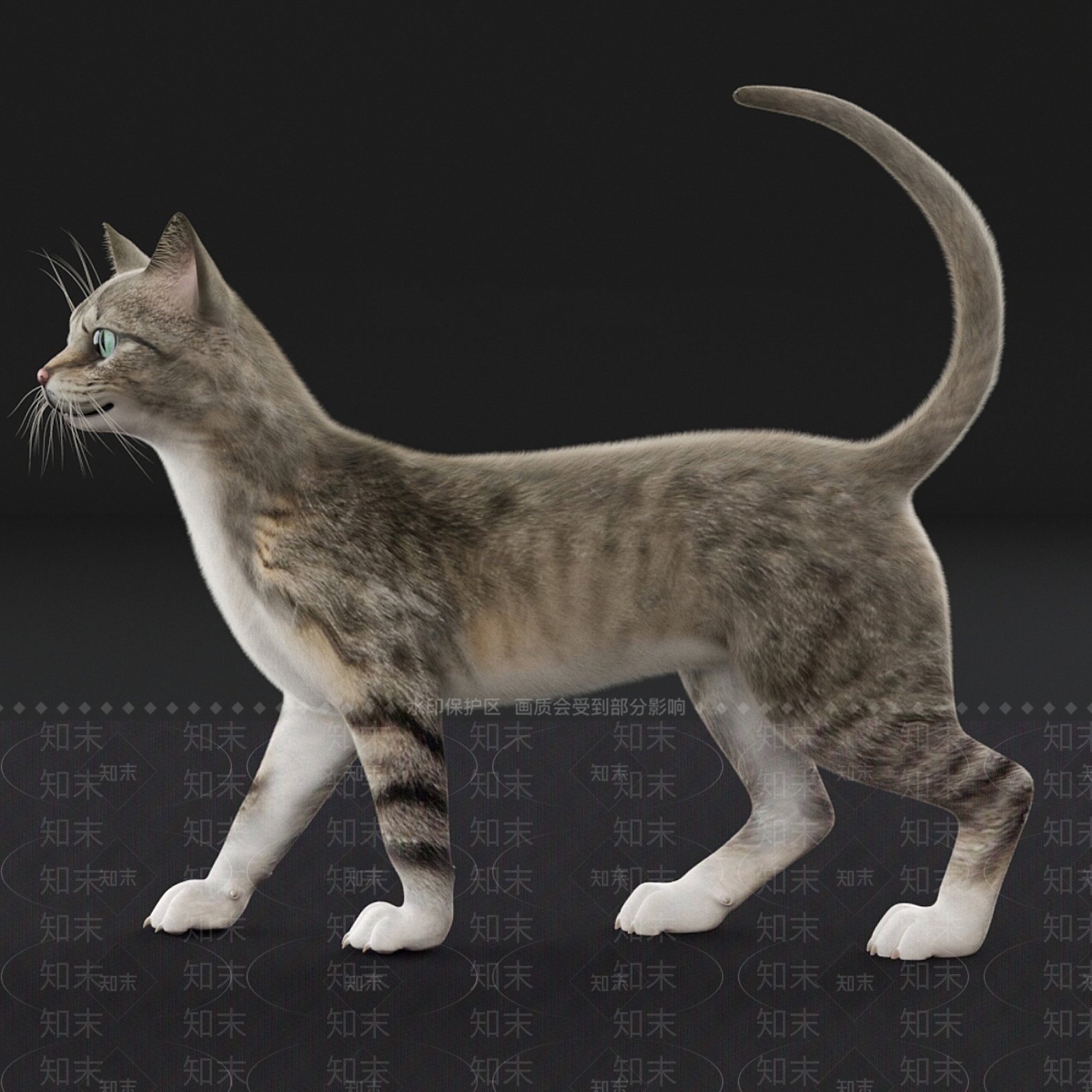 猫3D模型下载【ID:1185802931】