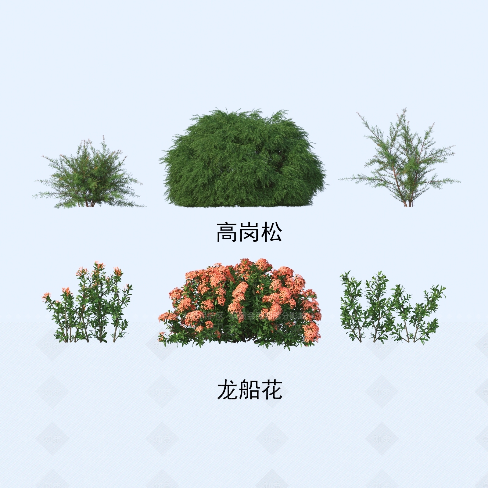 灌木3D模型下载【ID:1185827886】
