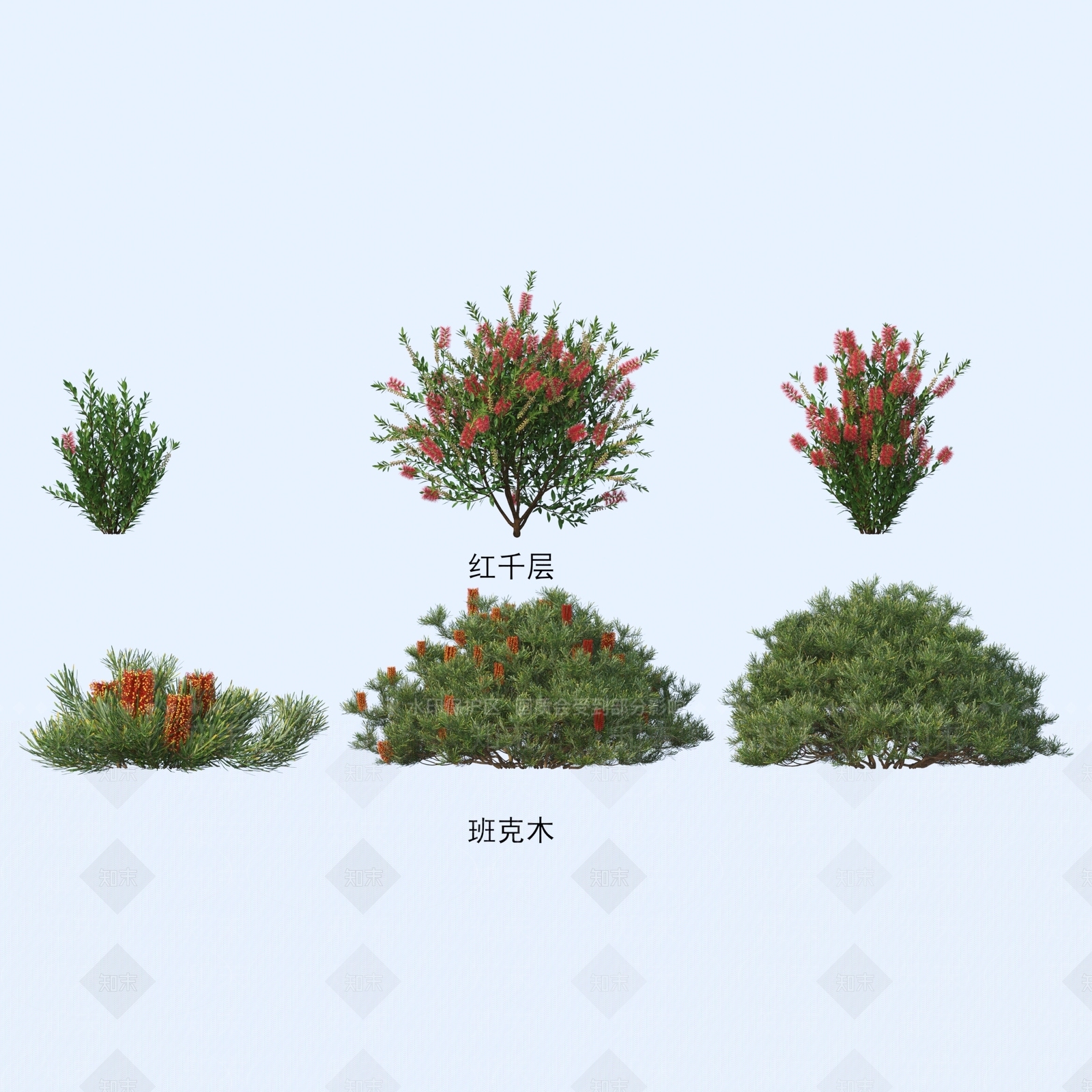 灌木3D模型下载【ID:1185828060】