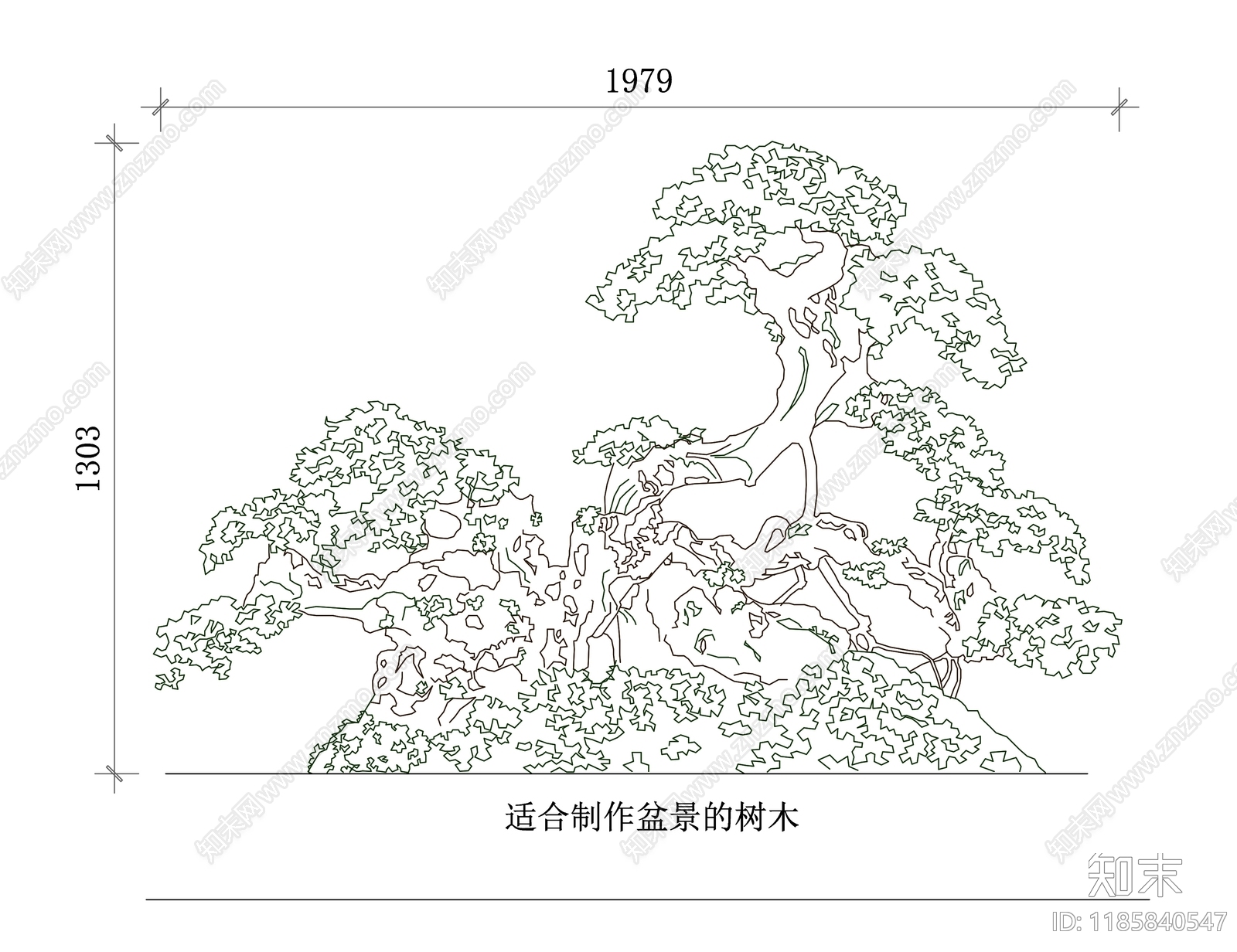 现代综合植物图库cad施工图下载【ID:1185840547】