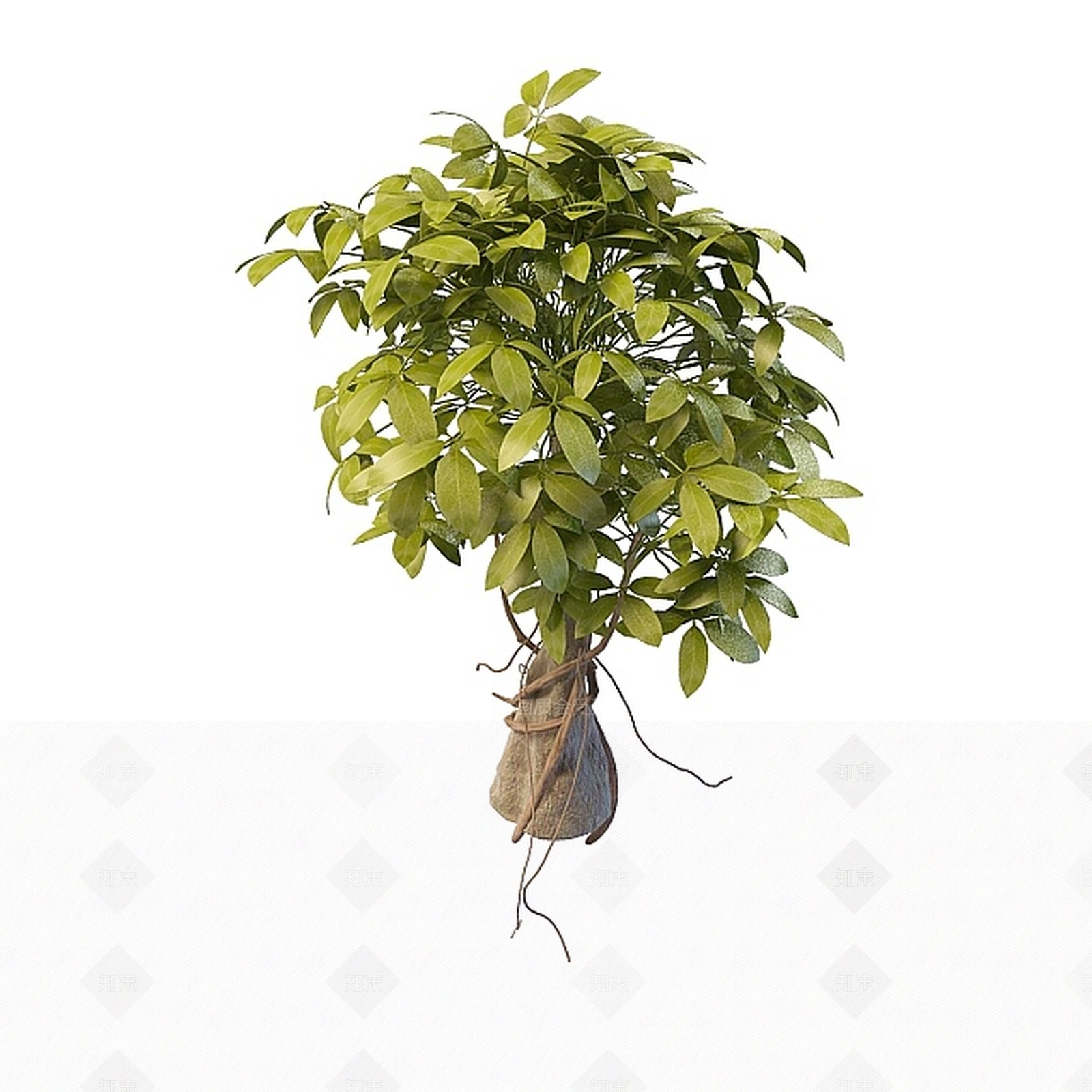 现代办公桌3D模型下载【ID:1185859868】