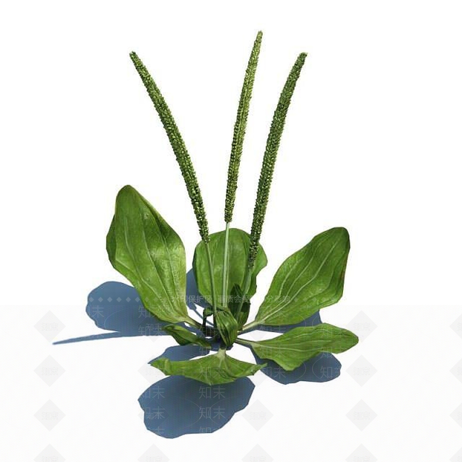 现代佛龛3D模型下载【ID:1186379864】