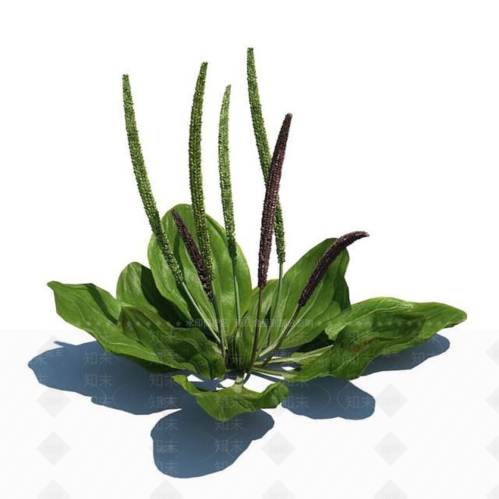 现代佛龛3D模型下载【ID:1186402149】