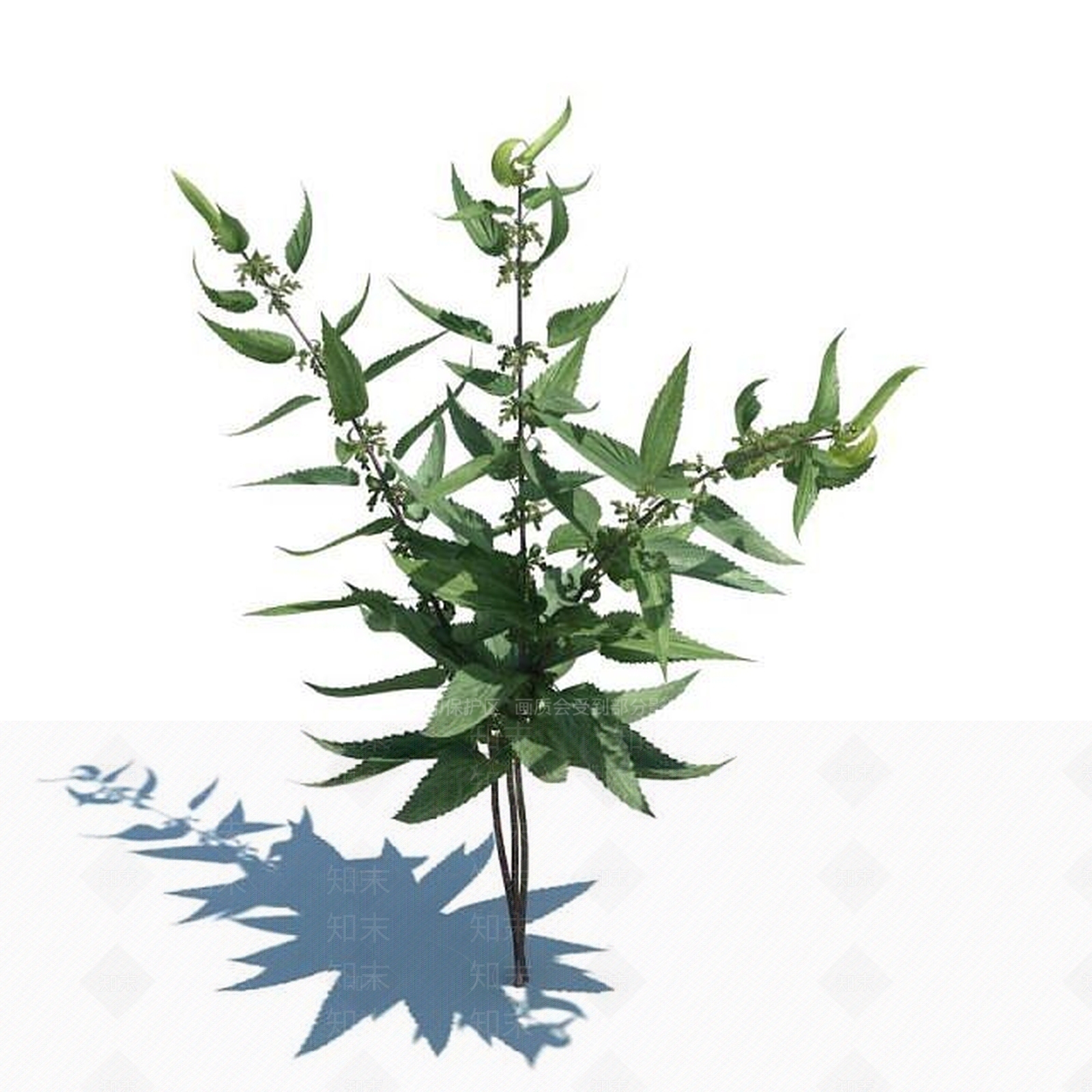 现代佛龛3D模型下载【ID:1186379862】