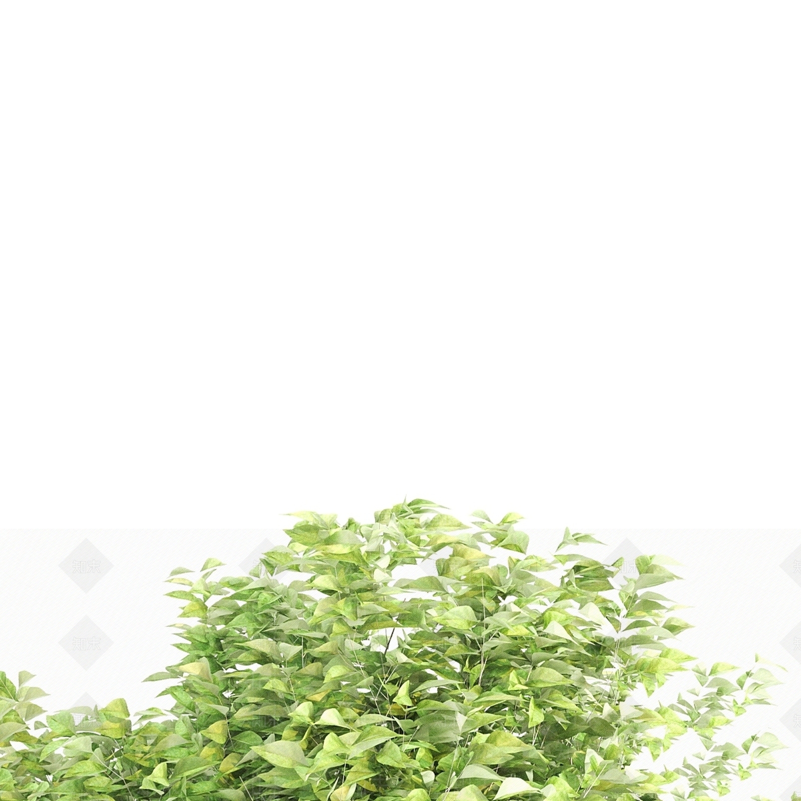 其他树木3D模型下载【ID:1185932619】