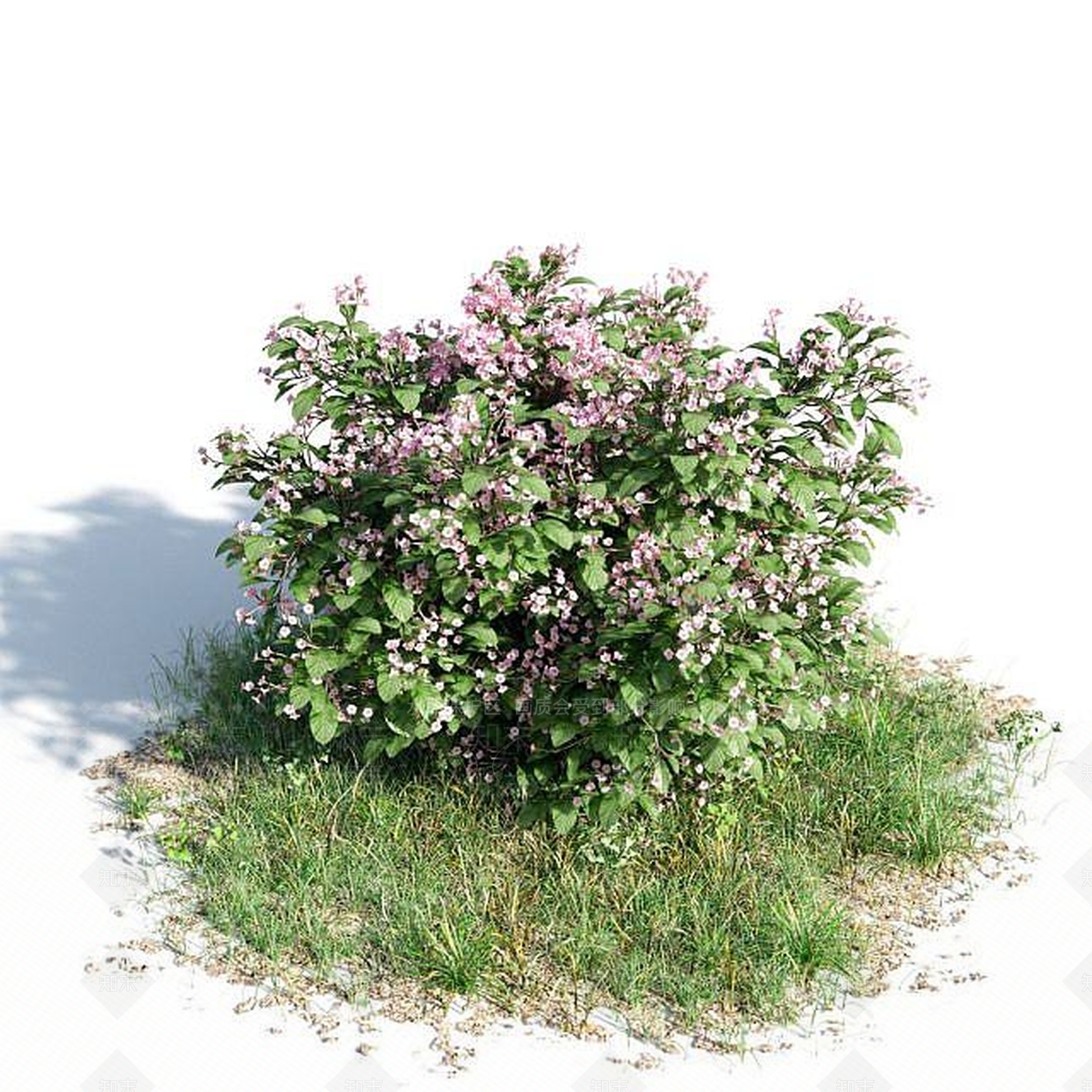 现代灌木3D模型下载【ID:1185935969】