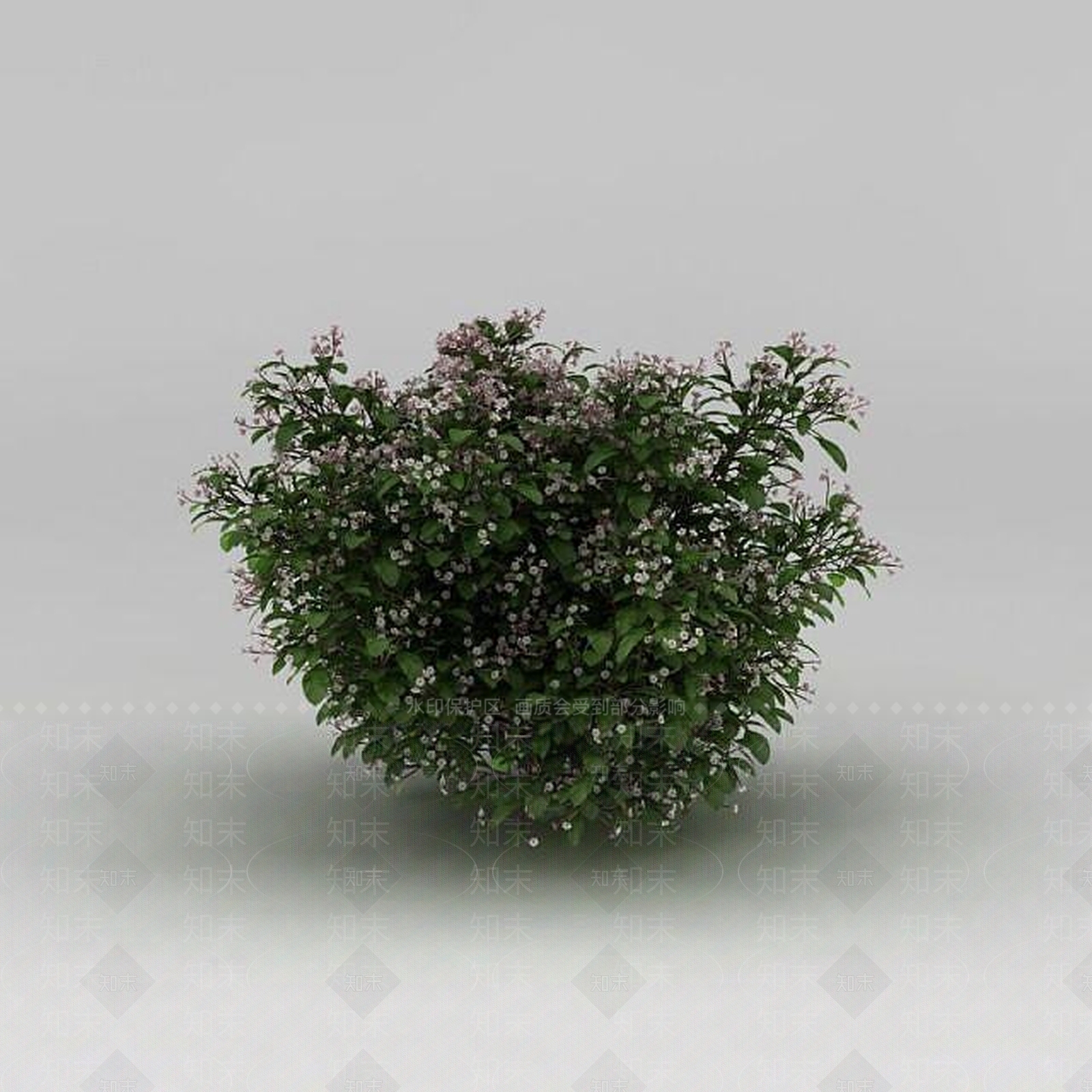 现代灌木3D模型下载【ID:1185935969】