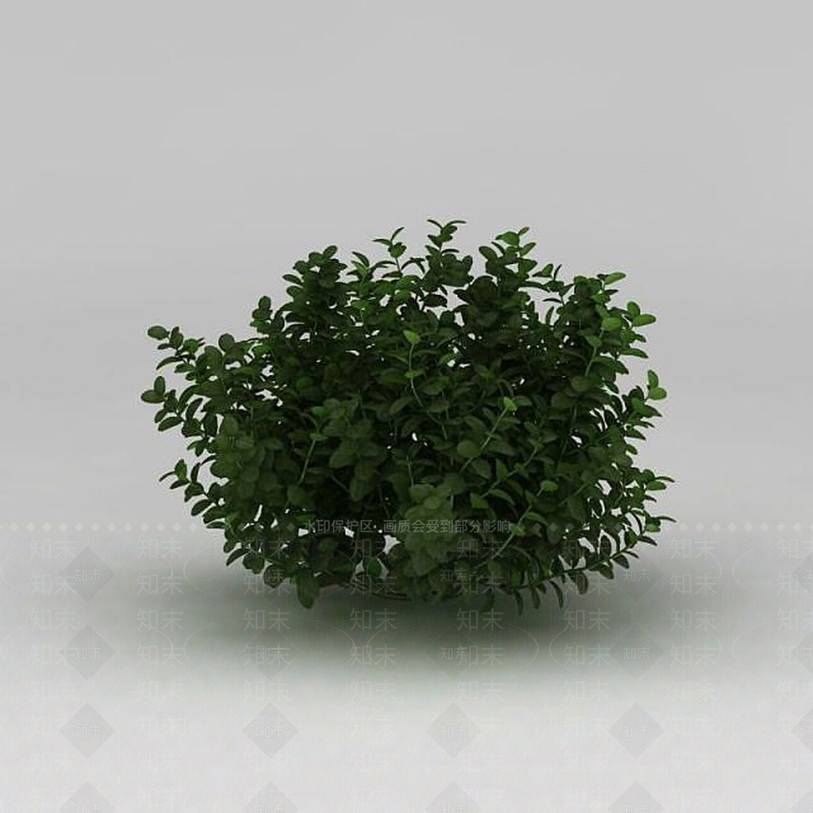 现代灌木3D模型下载【ID:1185936604】