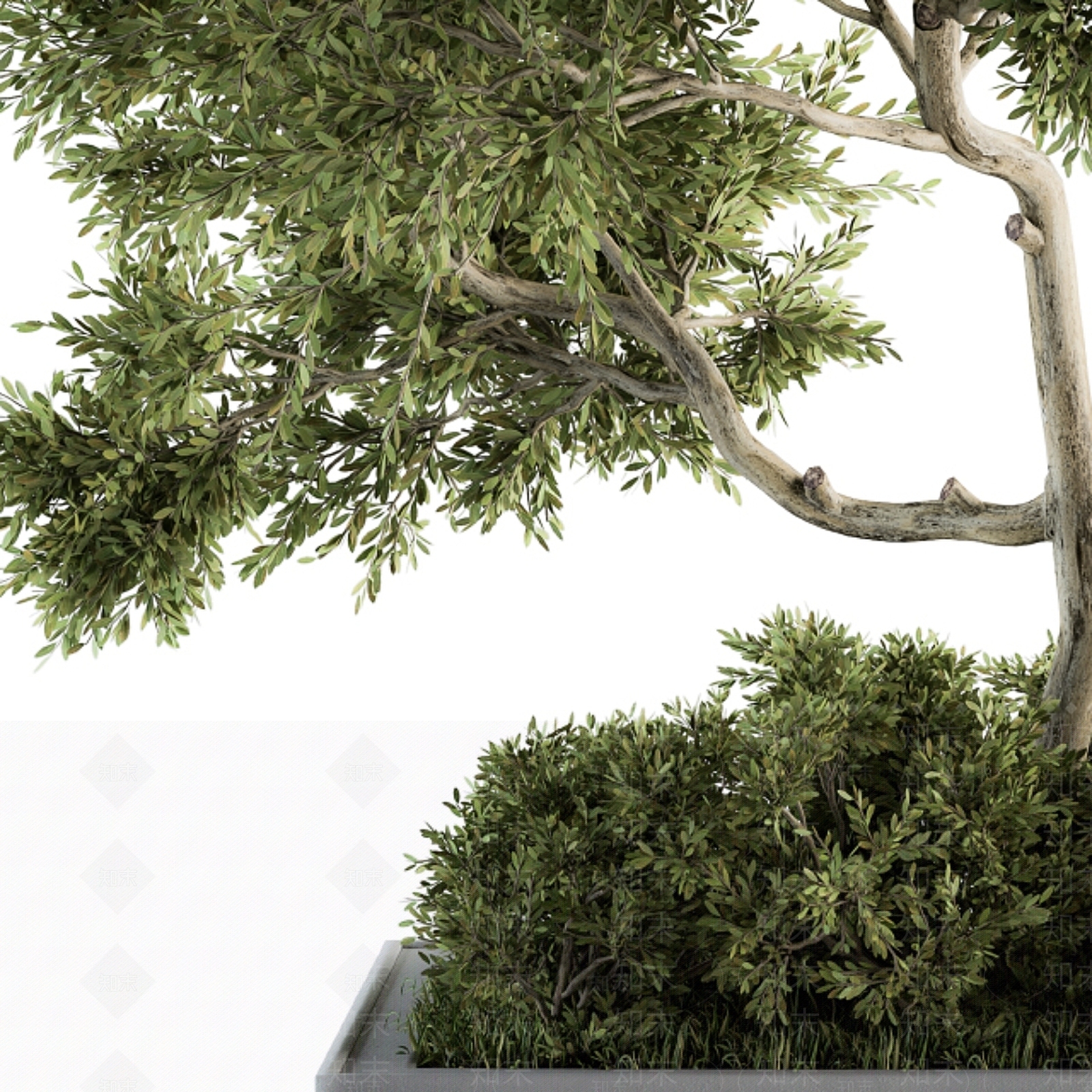其他绿植3D模型下载【ID:1186008607】