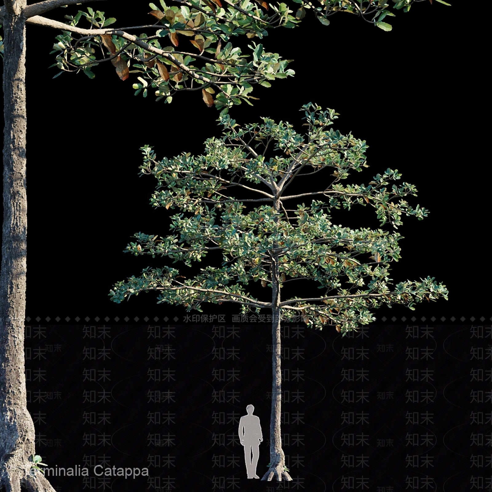 其他树木3D模型下载【ID:1186009535】