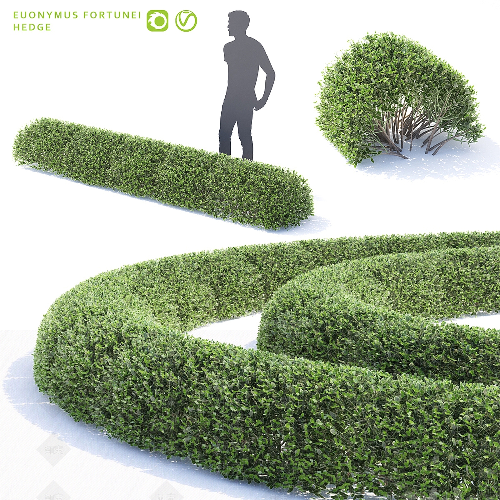 灌木3D模型下载【ID:1186070668】