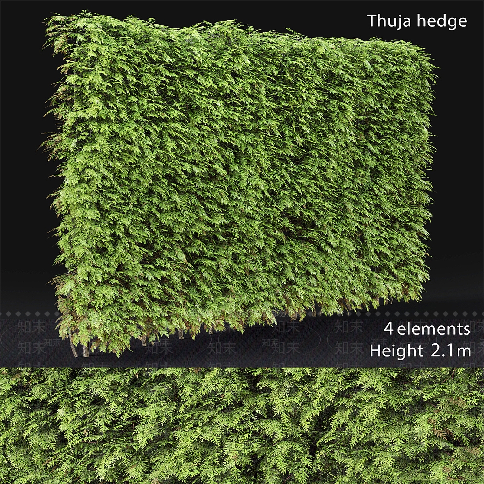 绿植墙3D模型下载【ID:1186161243】