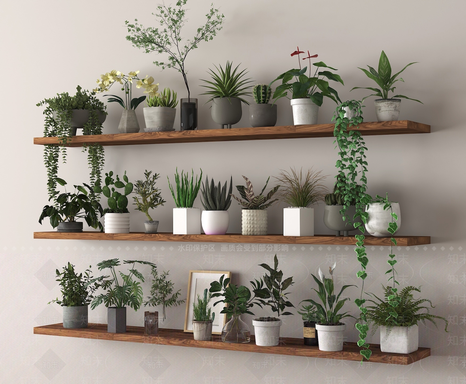 盆栽SU模型下载【ID:1186170898】
