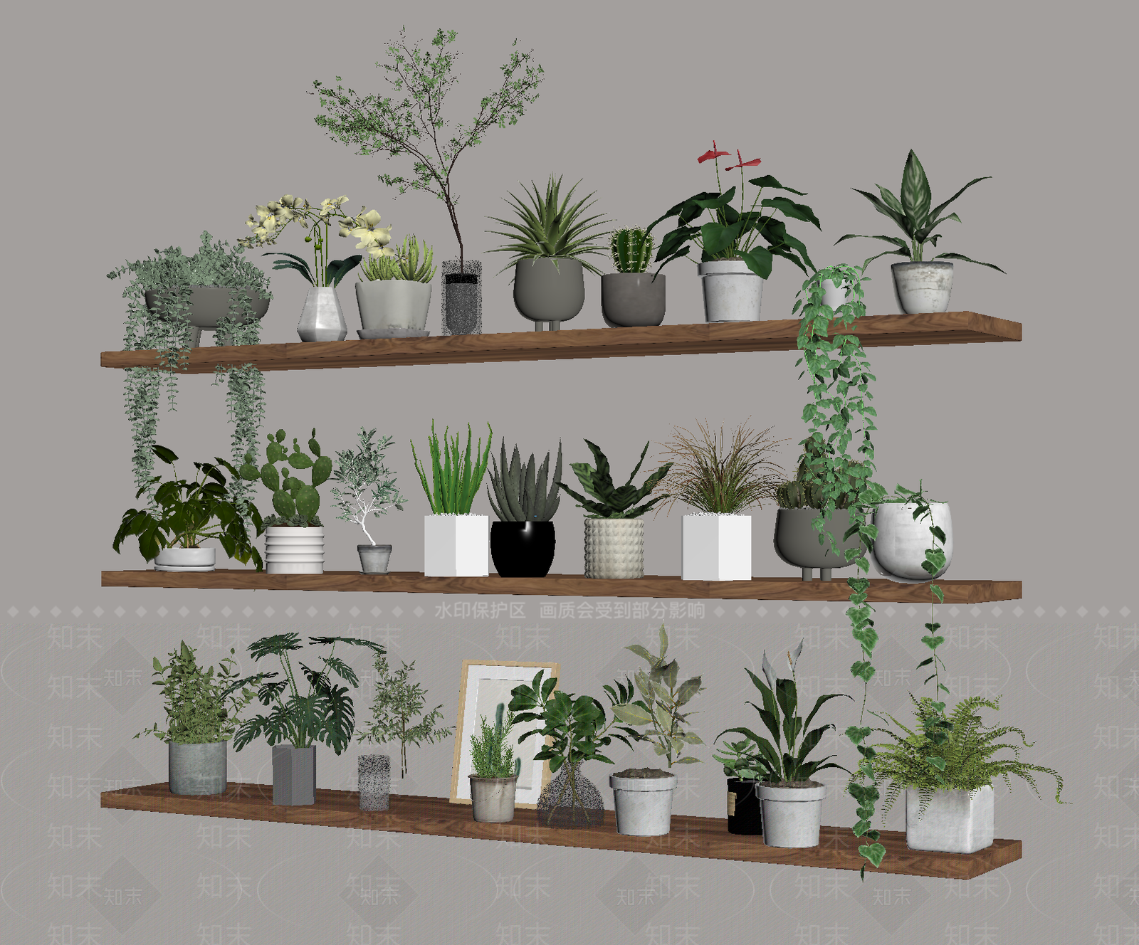 盆栽SU模型下载【ID:1186170898】