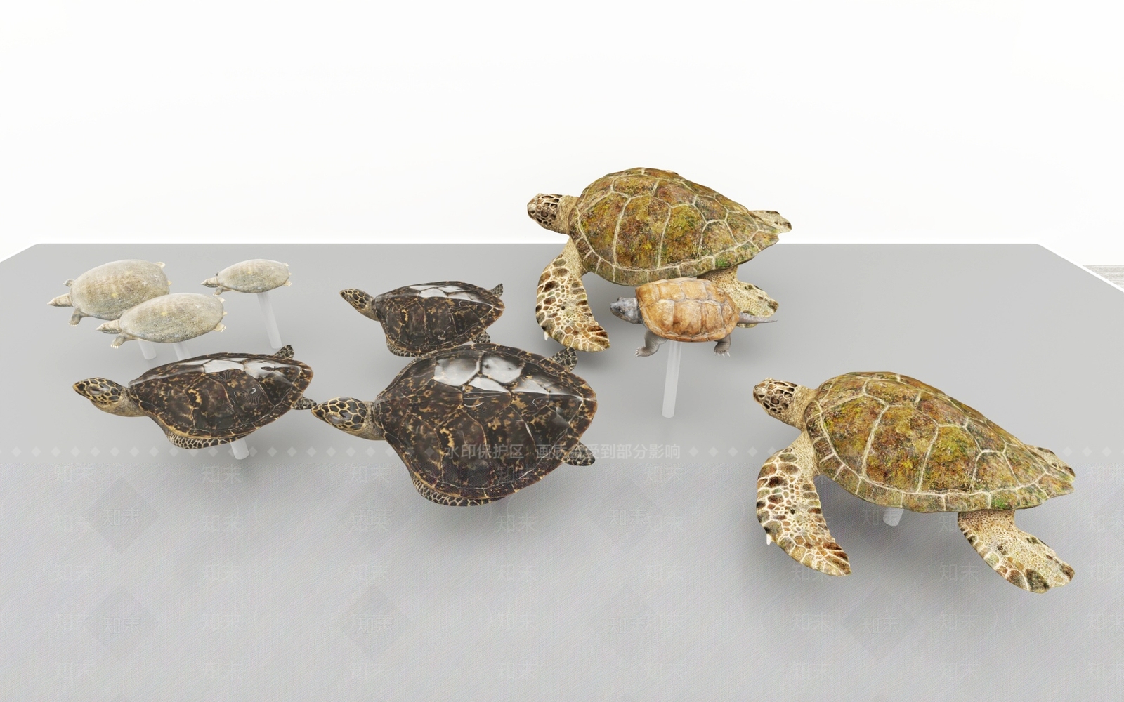 爬行类动物3D模型下载【ID:1186310204】