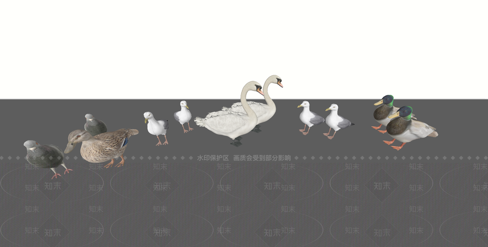家禽动物SU模型下载【ID:1186350405】