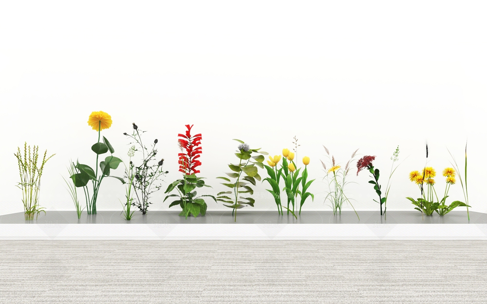 花草SU模型下载【ID:1186351800】