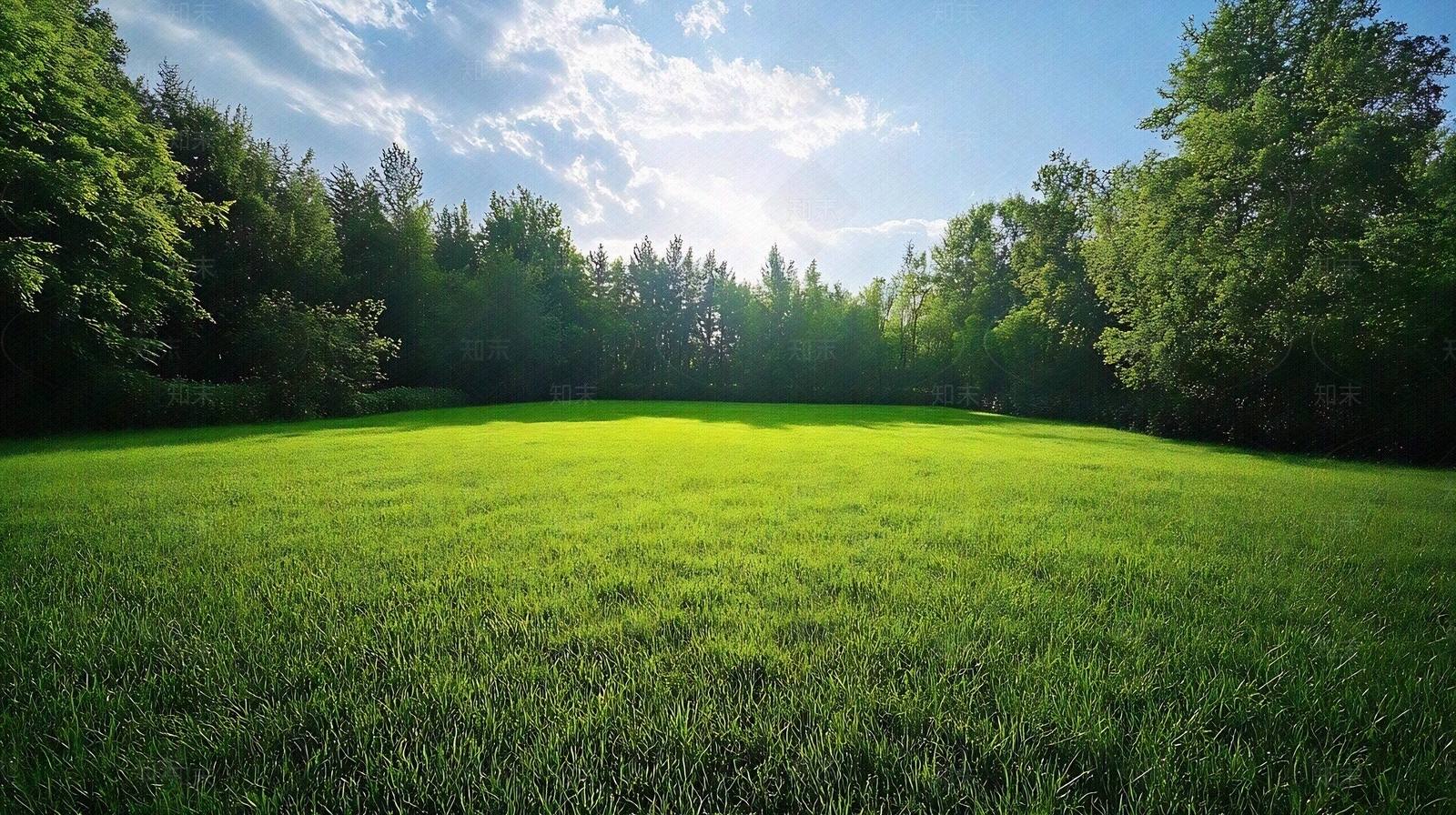 现代树林贴图下载【ID:1186403829】