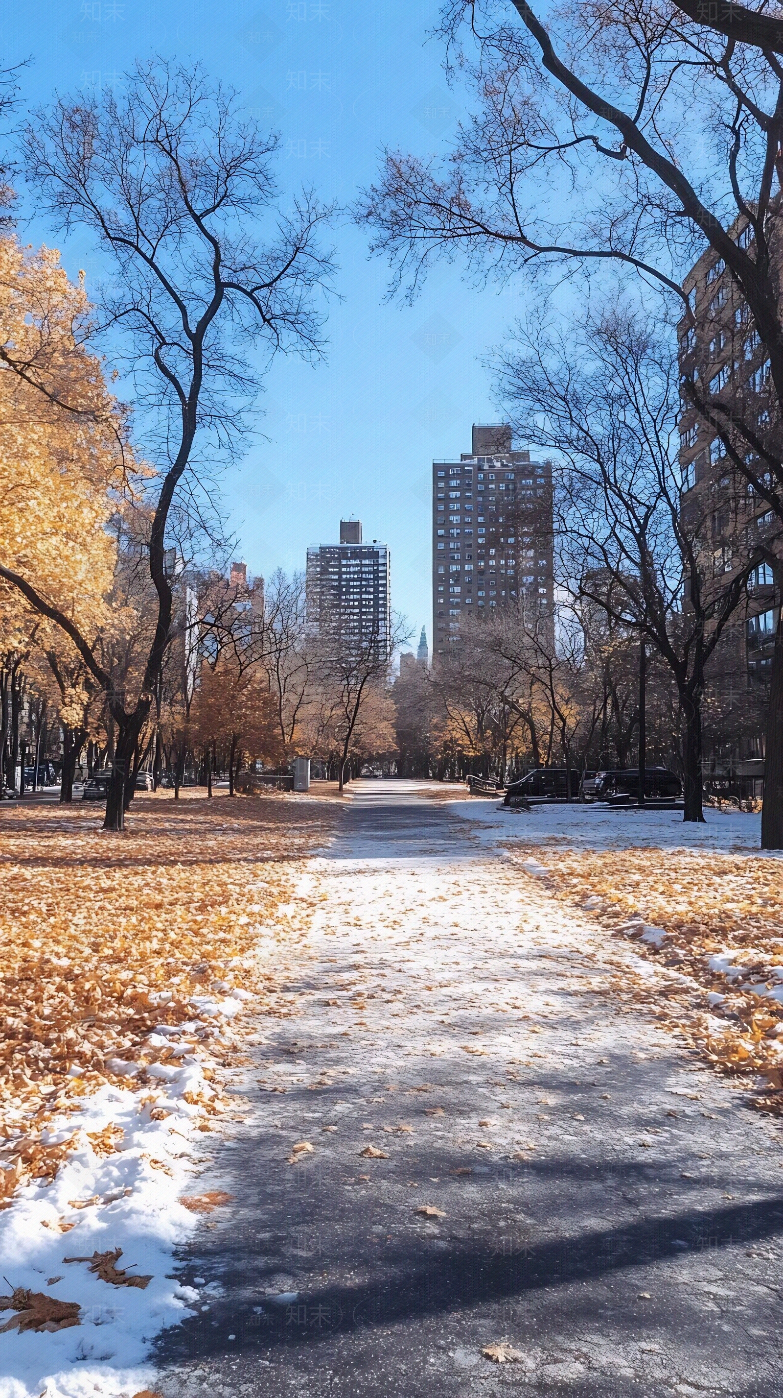 现代街道外景贴图下载【ID:1186404347】