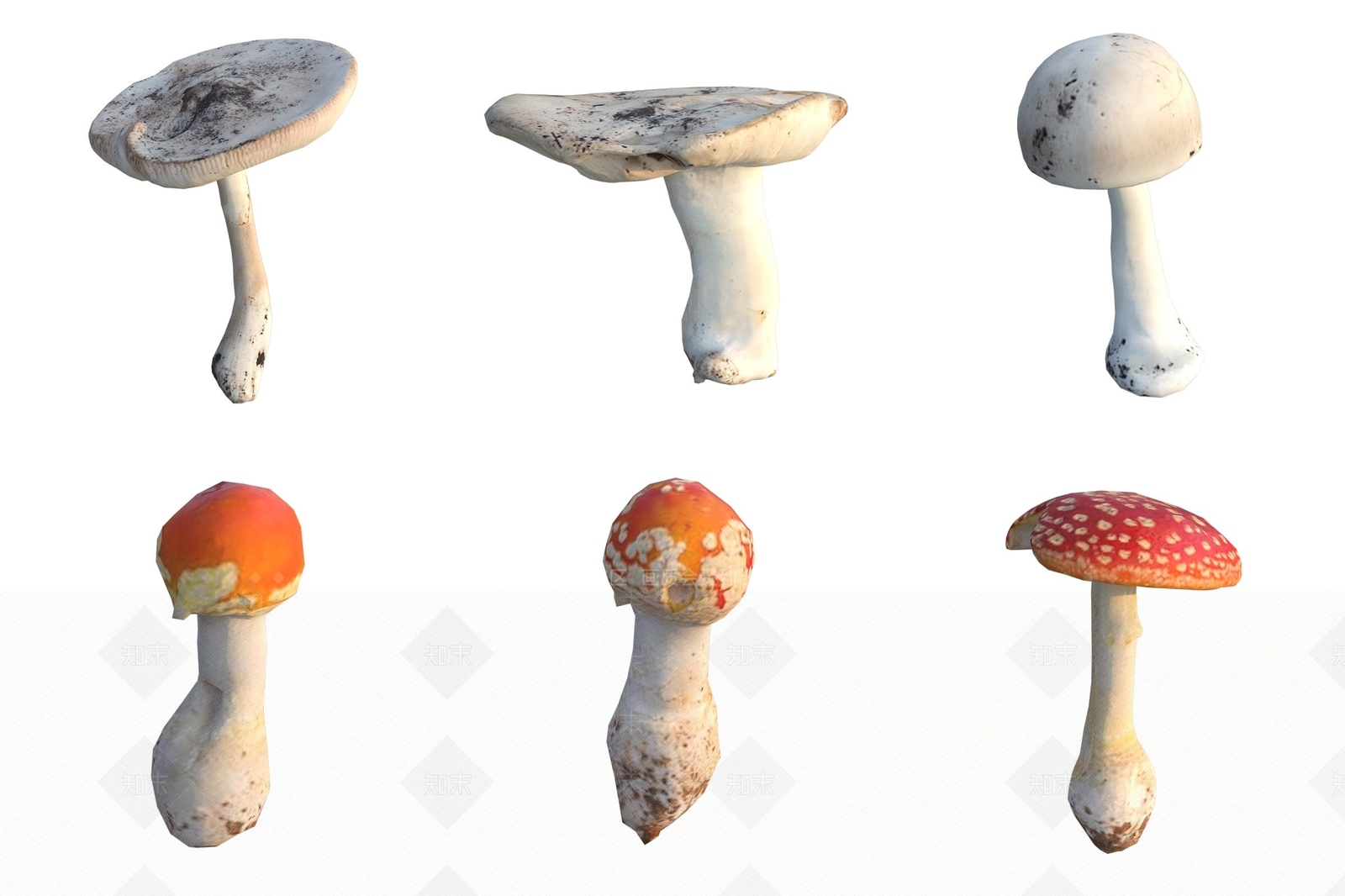 农作物3D模型下载【ID:1186411285】