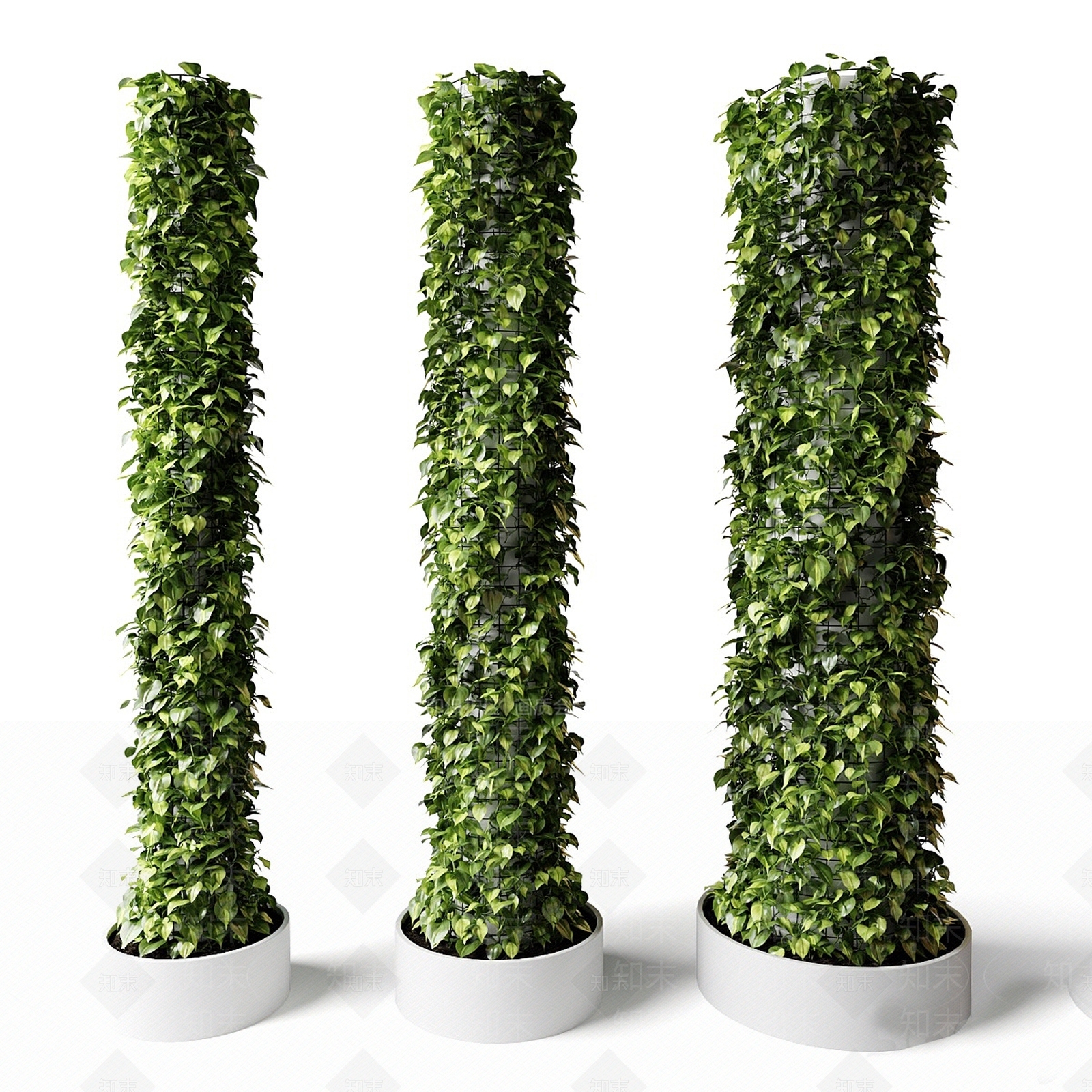 藤蔓3D模型下载【ID:1186416026】