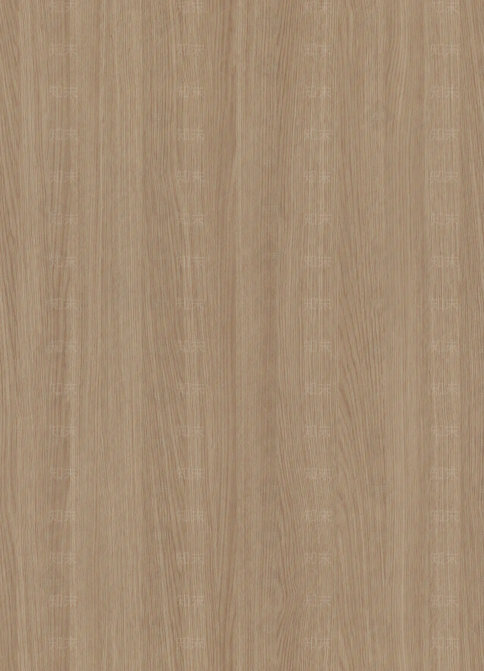 现代中式竹子贴图下载【ID:1186424383】