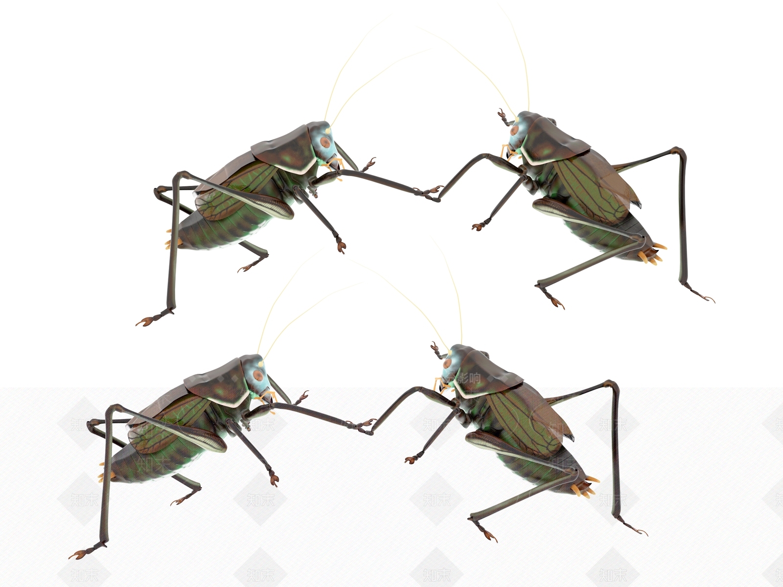 爬行类动物3D模型下载【ID:1186425296】