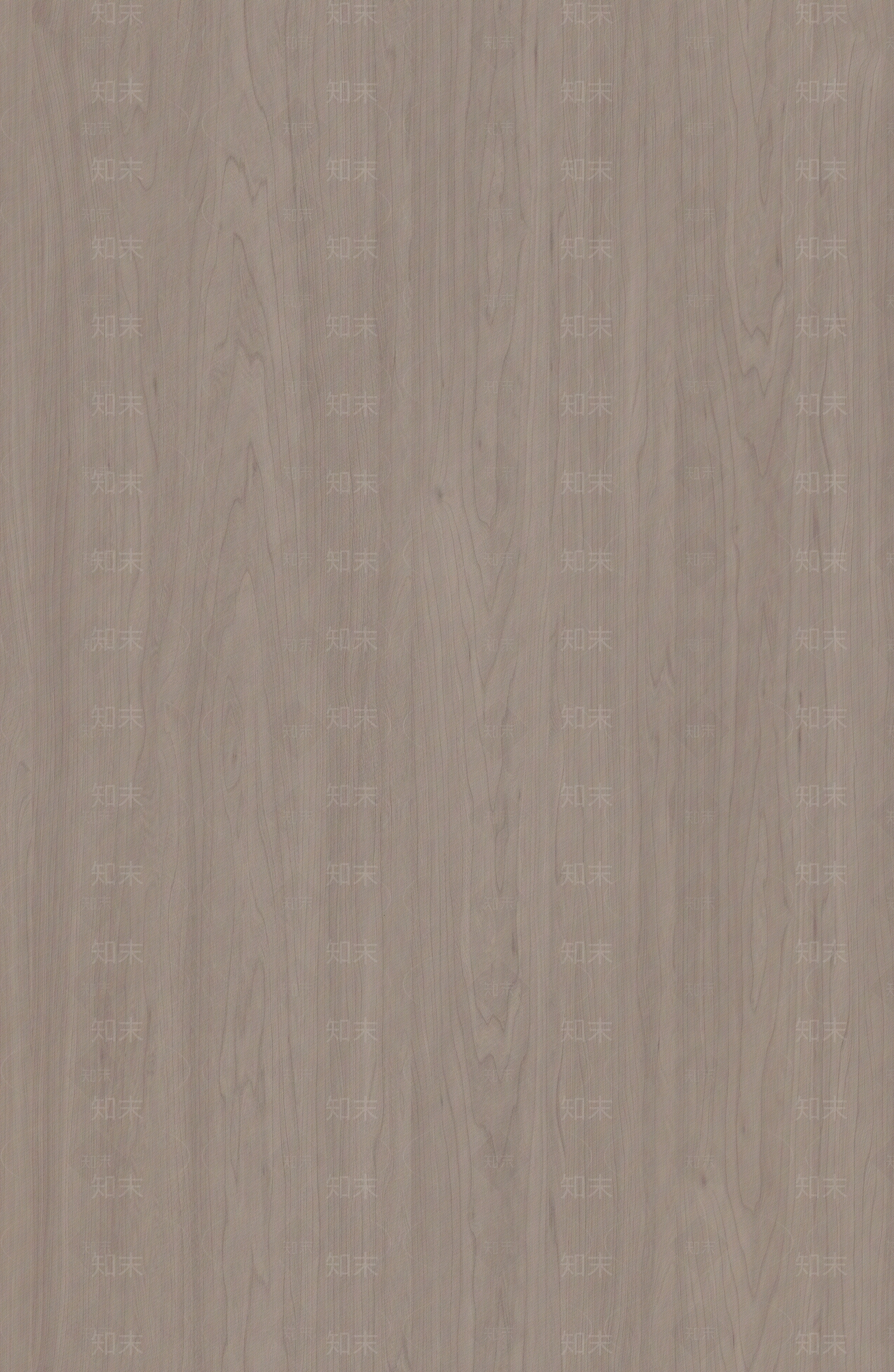 现代中式竹子贴图下载【ID:1186427251】